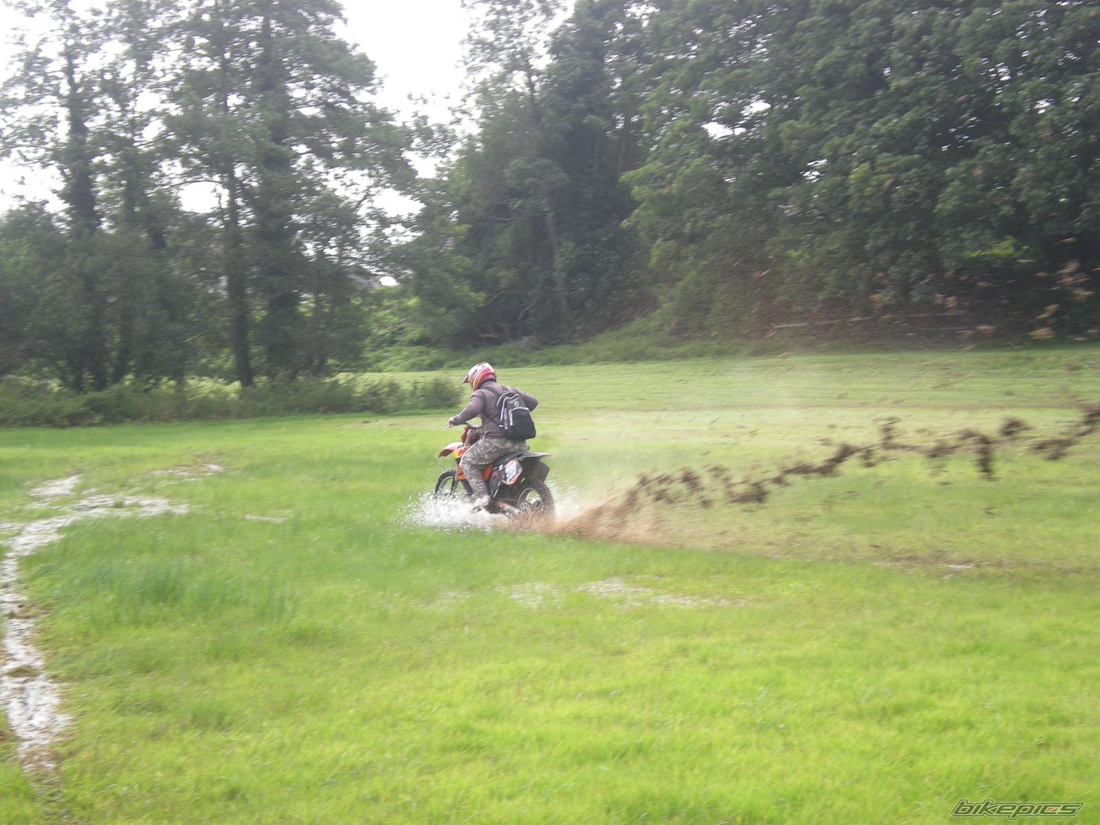 2003 TM TM125 CROSS | Picture 1416120 motorcycle photo