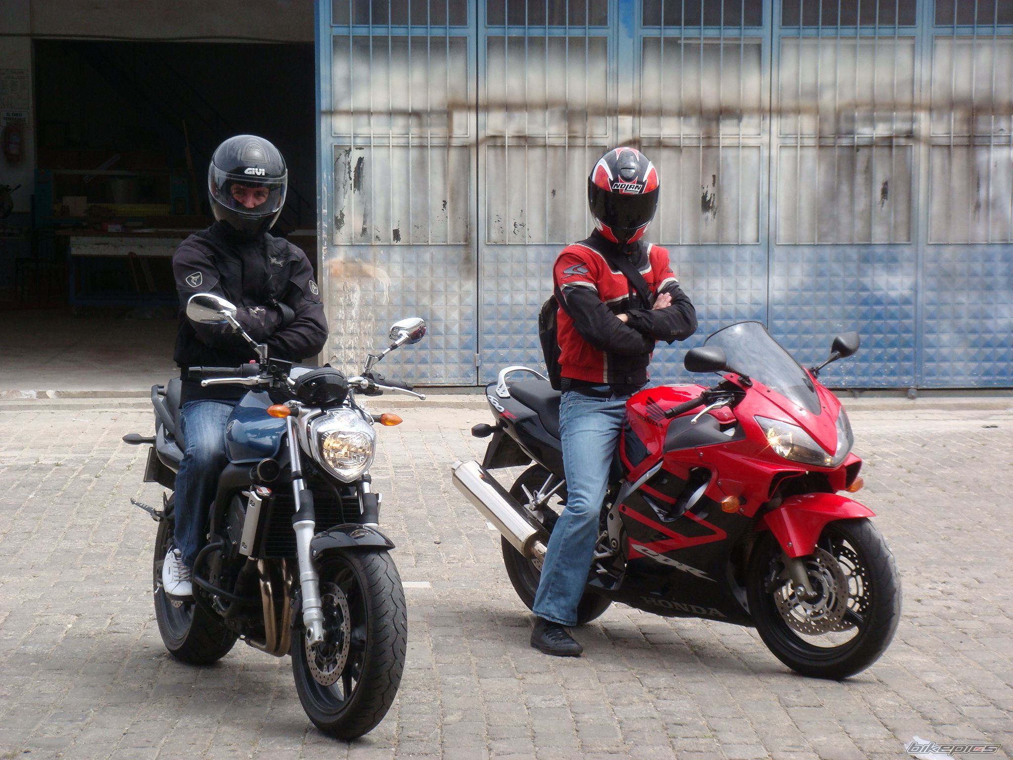 2008 YAMAHA FZ6N | Picture 1416509 motorcycle photo