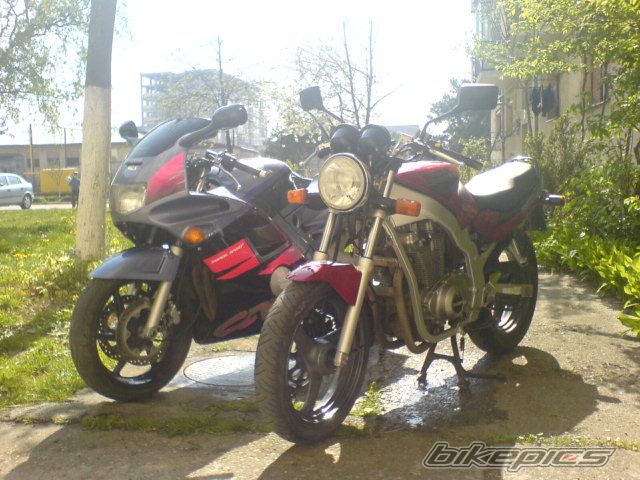 1994 HONDA CBR 600 | Picture 1416684 motorcycle photo