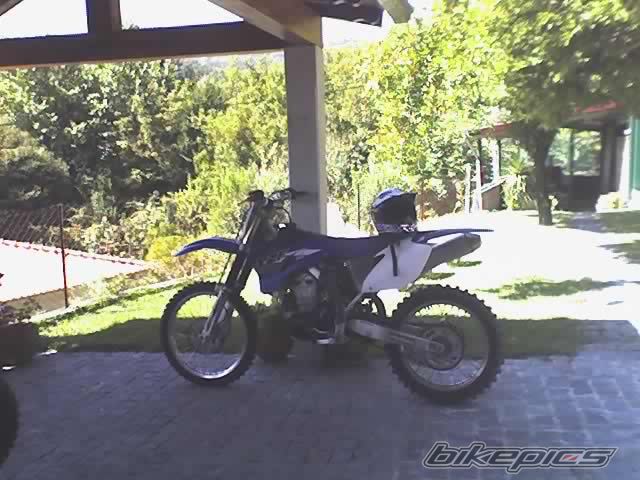 2008 YAMAHA YZ 450F | Picture 1416701 motorcycle photo