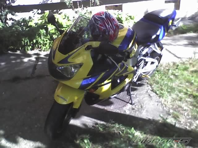 2000 HONDA CBR 900 | Picture 1416735 motorcycle photo