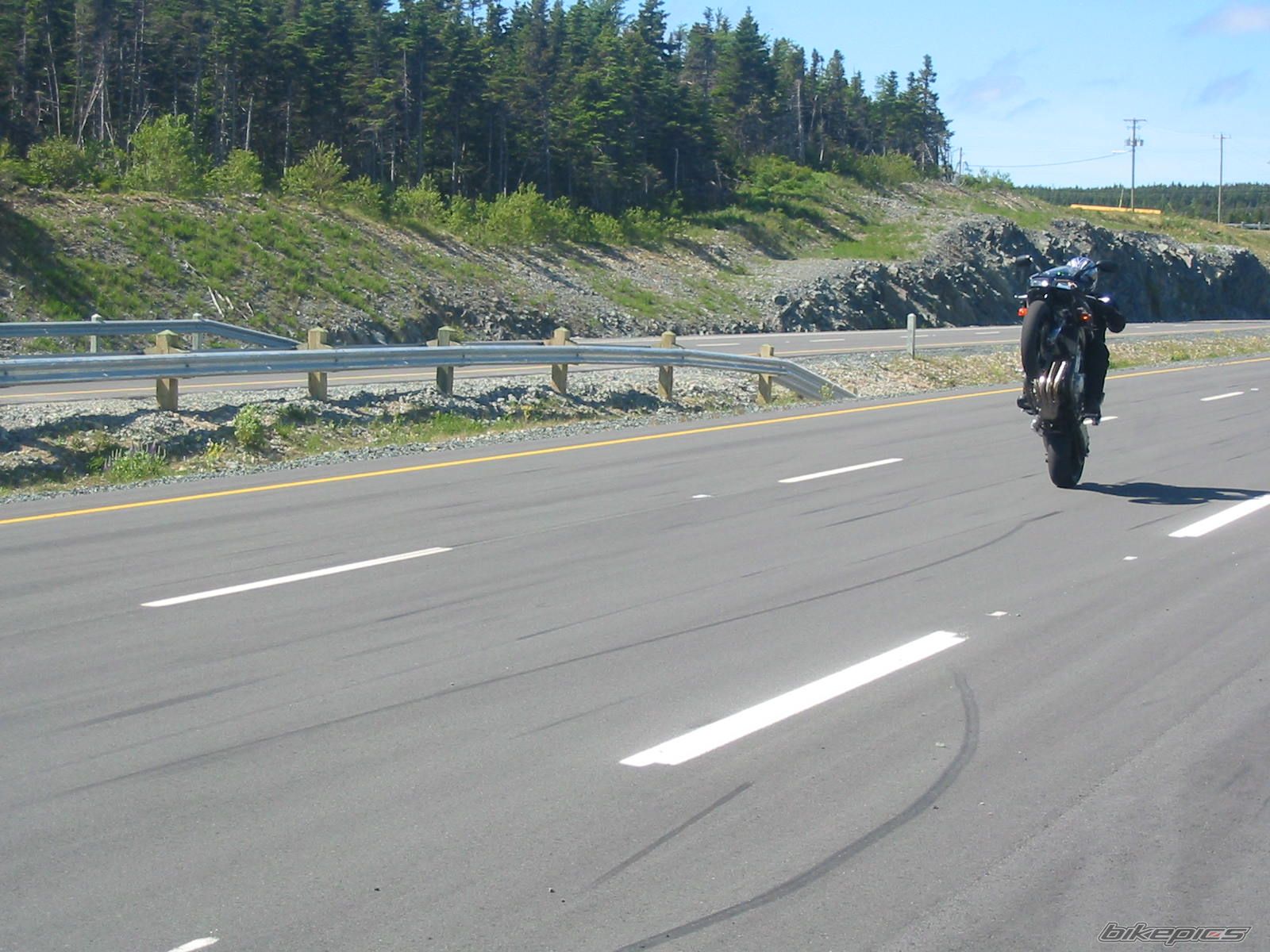 2001 YAMAHA FZ 1 | Picture 1416823 motorcycle photo