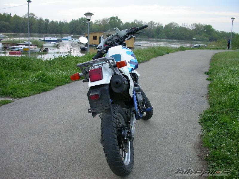 1991 SUZUKI DR 650 | Picture 141706 motorcycle photo