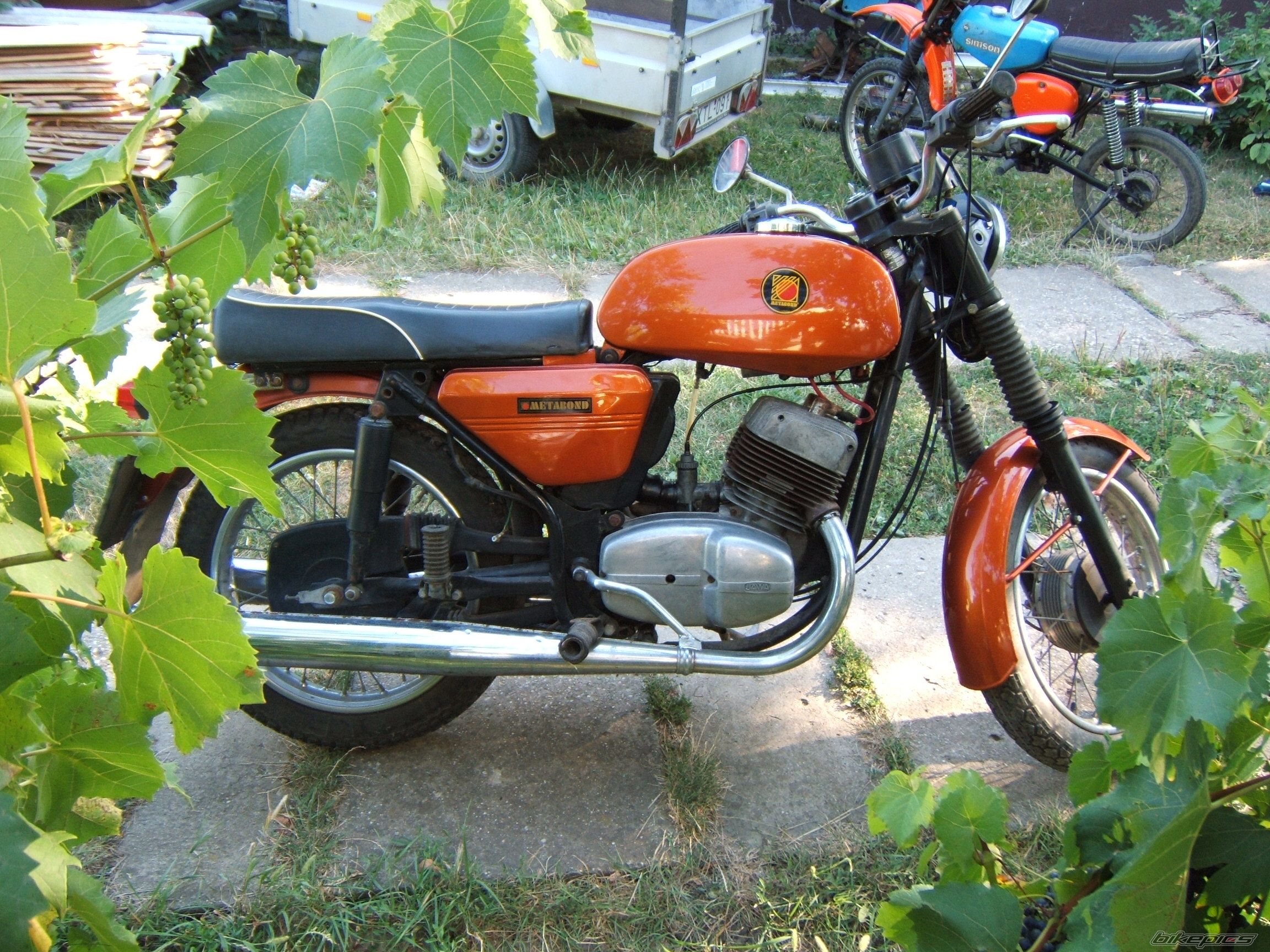 1982 JAWA 350 | Picture 1417192 motorcycle photo