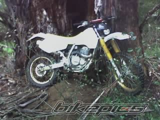 1992 SUZUKI DR 350 | Picture 1417905 motorcycle photo