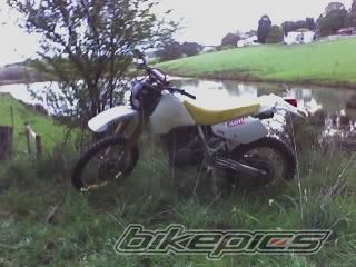1992 SUZUKI DR 350 | Picture 1417908 motorcycle photo