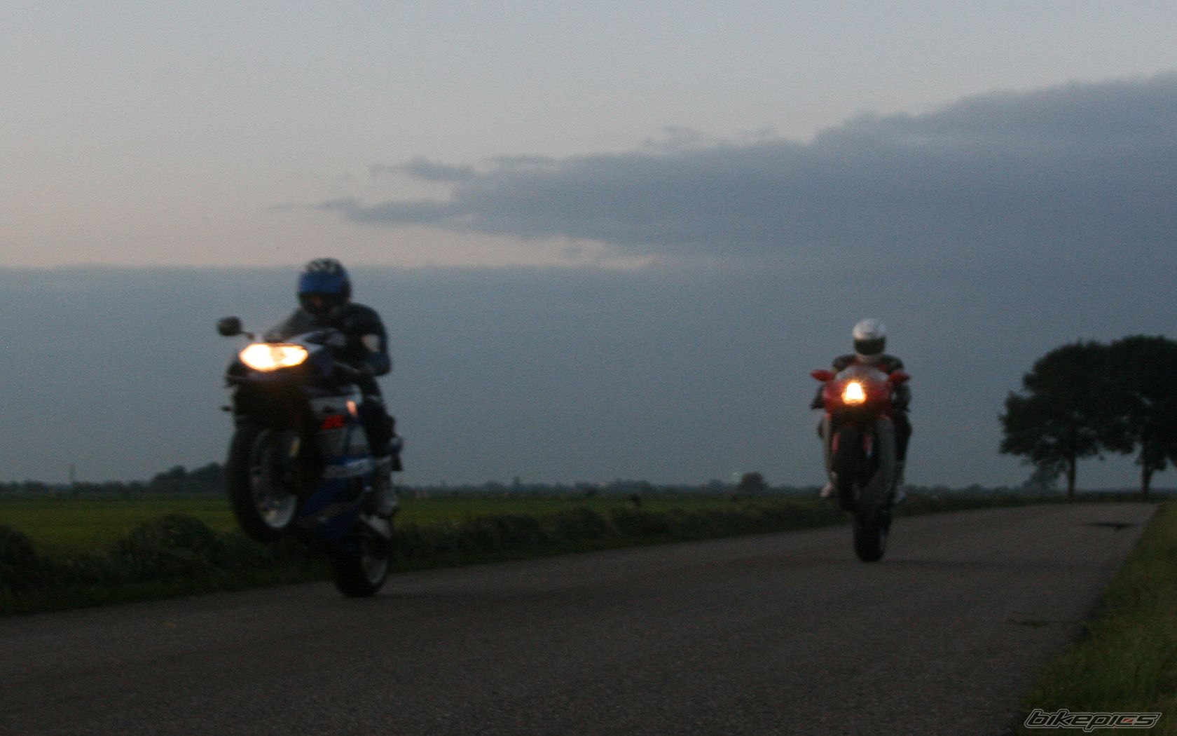2002 SUZUKI GSX R 1000 | Picture 1418462 motorcycle photo