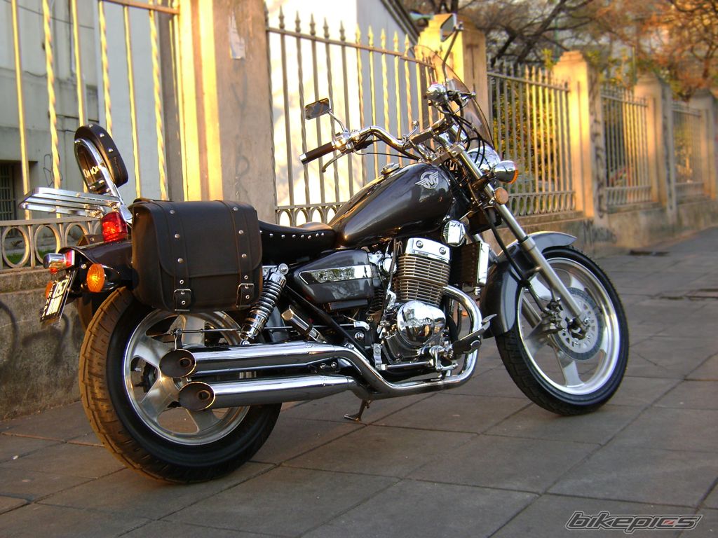 2007 HONDA CMX 250 | Picture 1418562 motorcycle photo