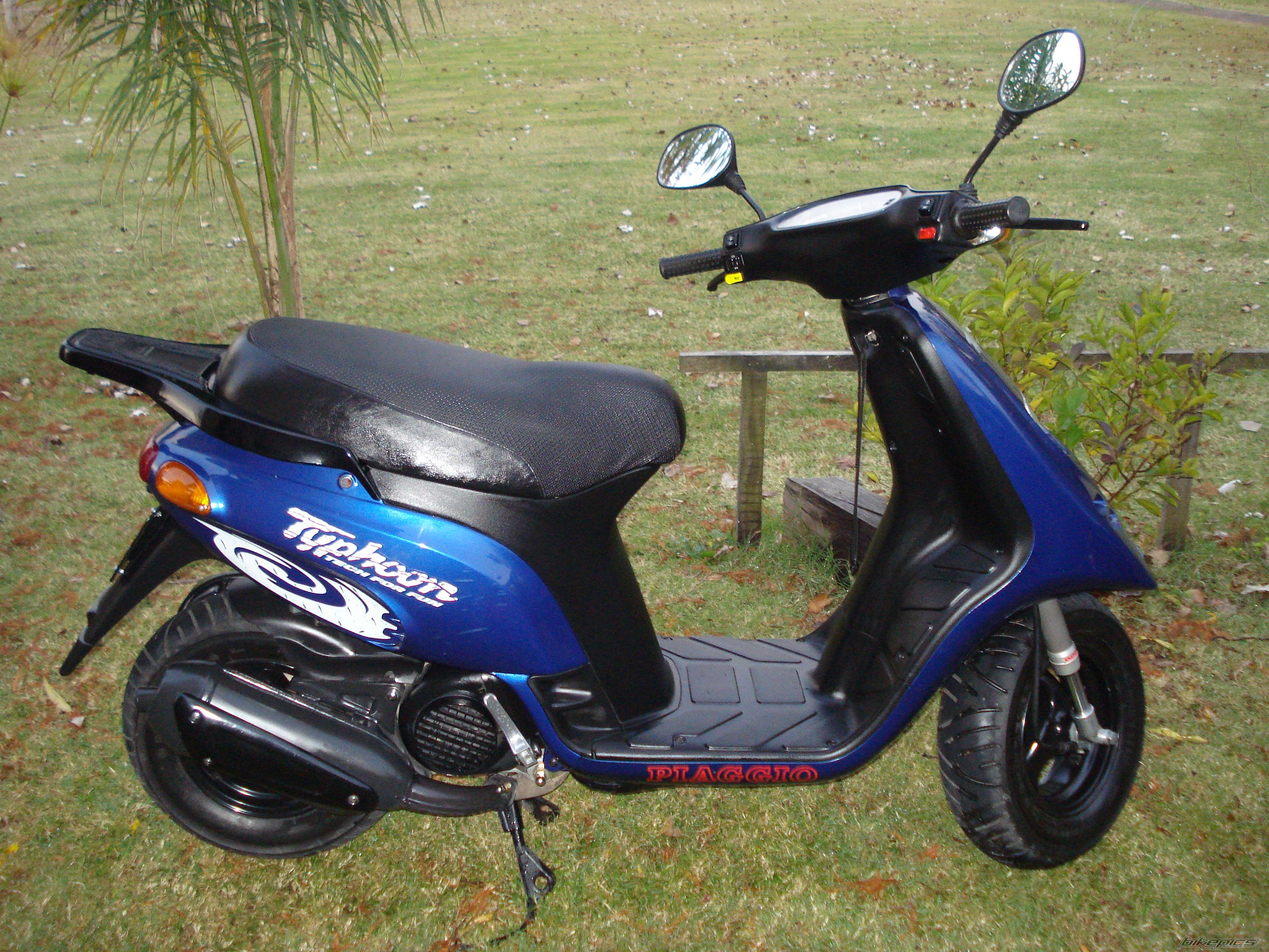 1997 PIAGGIO TYPHOON 125 | Picture 1419353 motorcycle photo