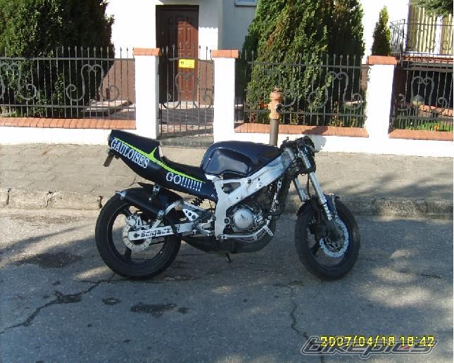 1997 YAMAHA TZR 125 | Picture 1419786 motorcycle photo