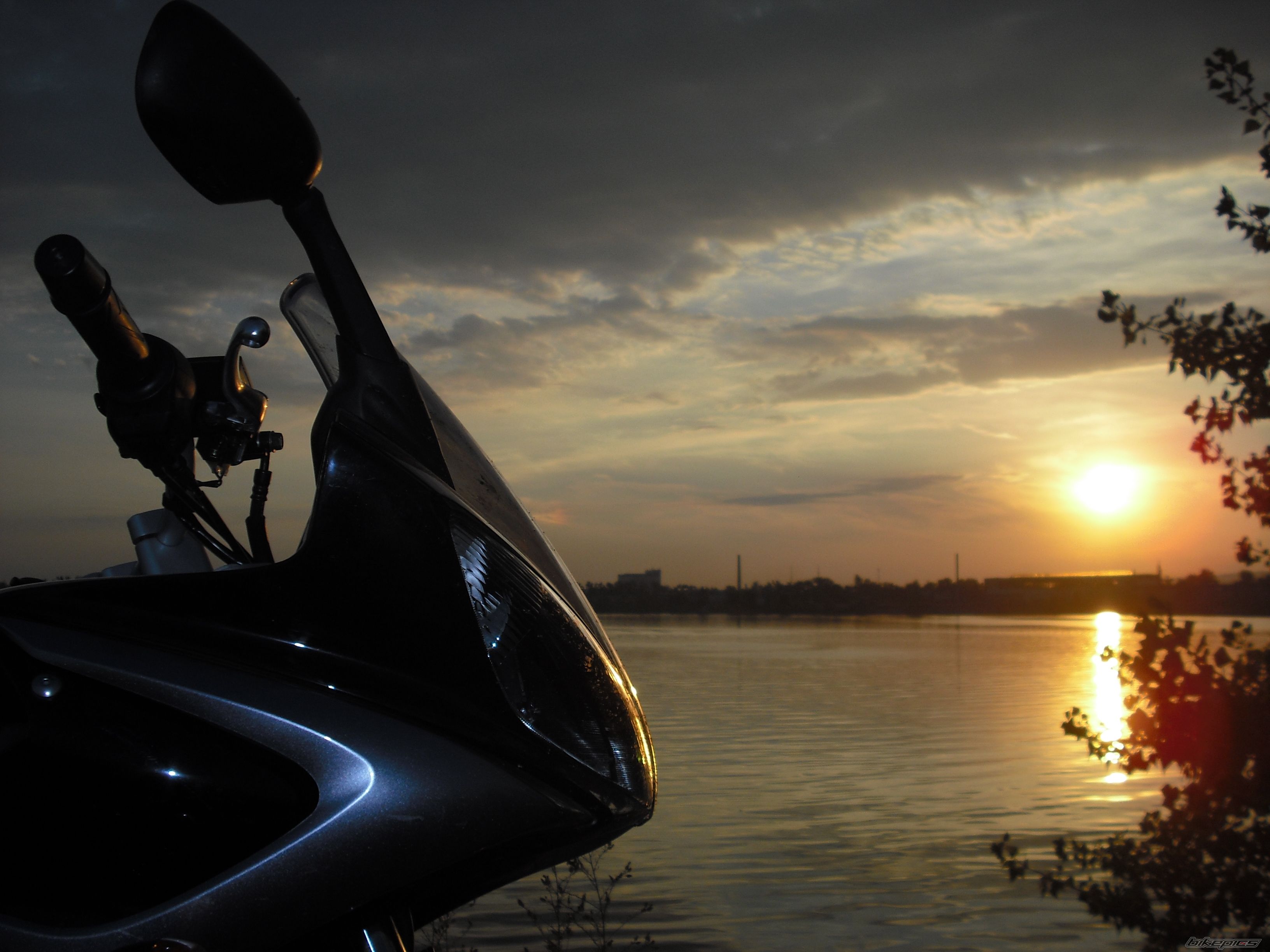 2008 YAMAHA FZ6 FAZER | Picture 1420345 motorcycle photo