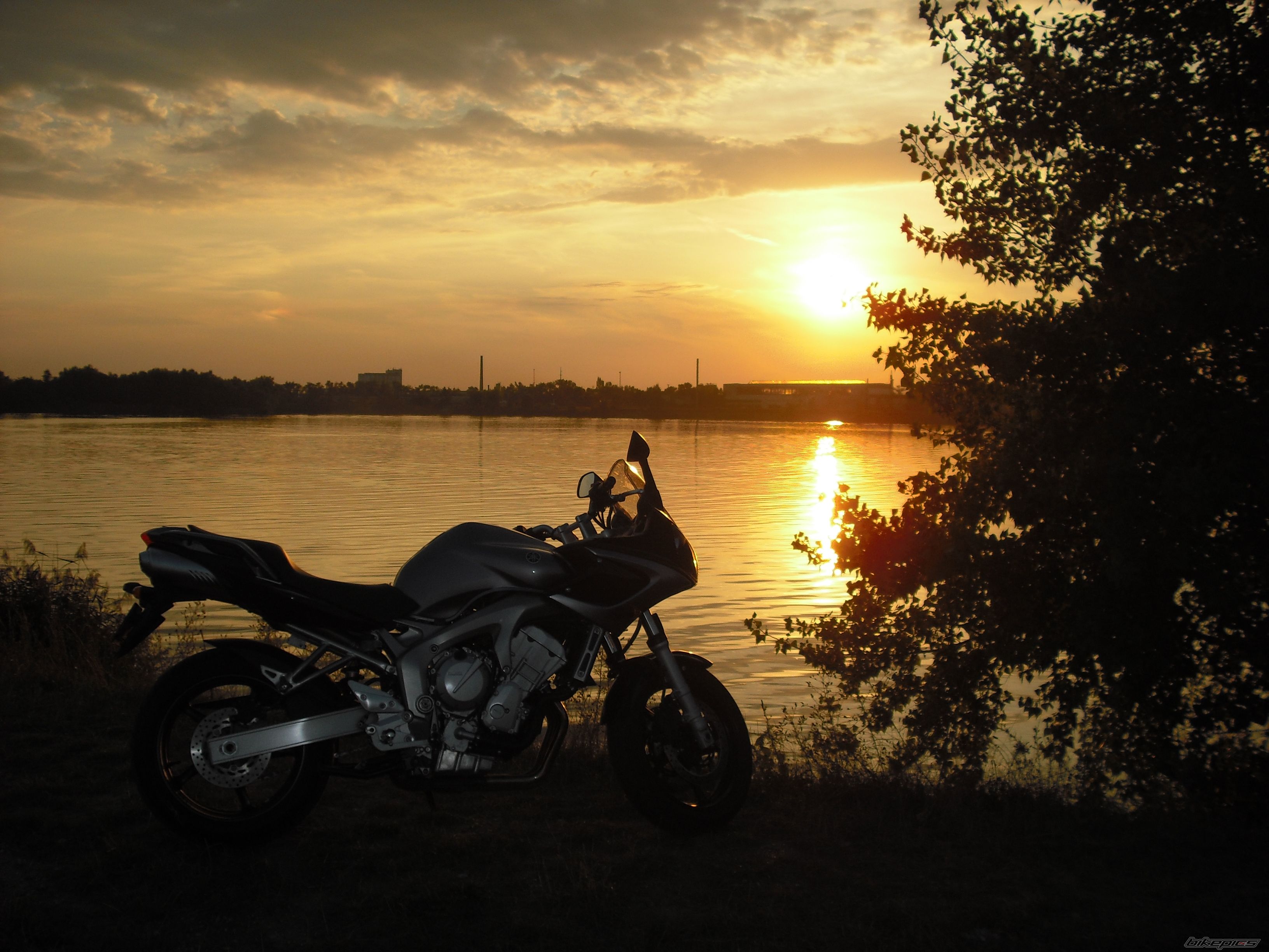 2008 YAMAHA FZ6 FAZER | Picture 1420351 motorcycle photo