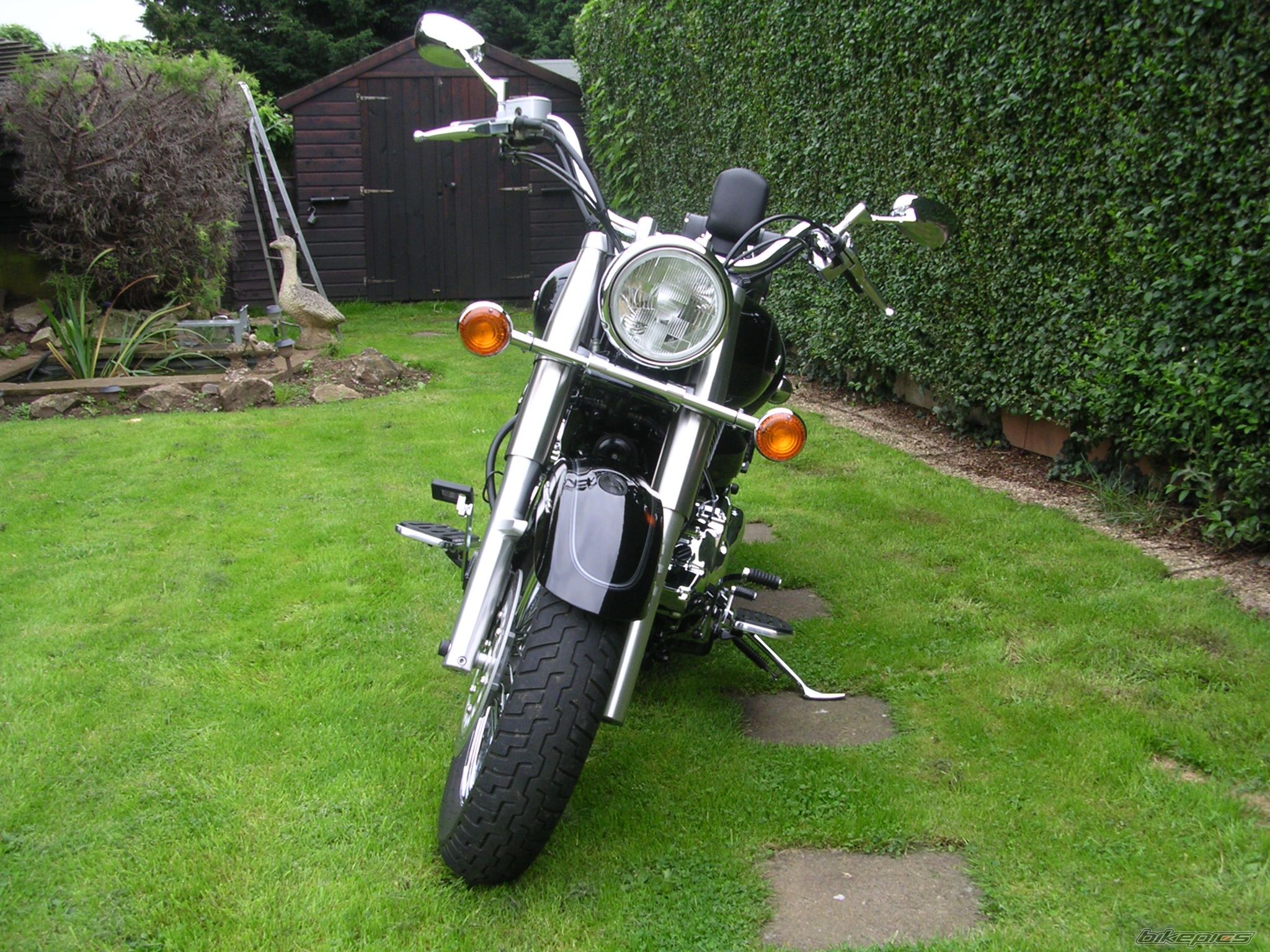 2006 YAMAHA XVS1100A DRAGSTAR CLASSIC | Picture 1420604 motorcycle photo