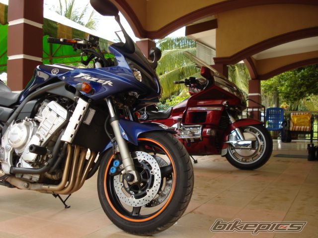 2006 YAMAHA FZ 1 | Picture 1421022 motorcycle photo
