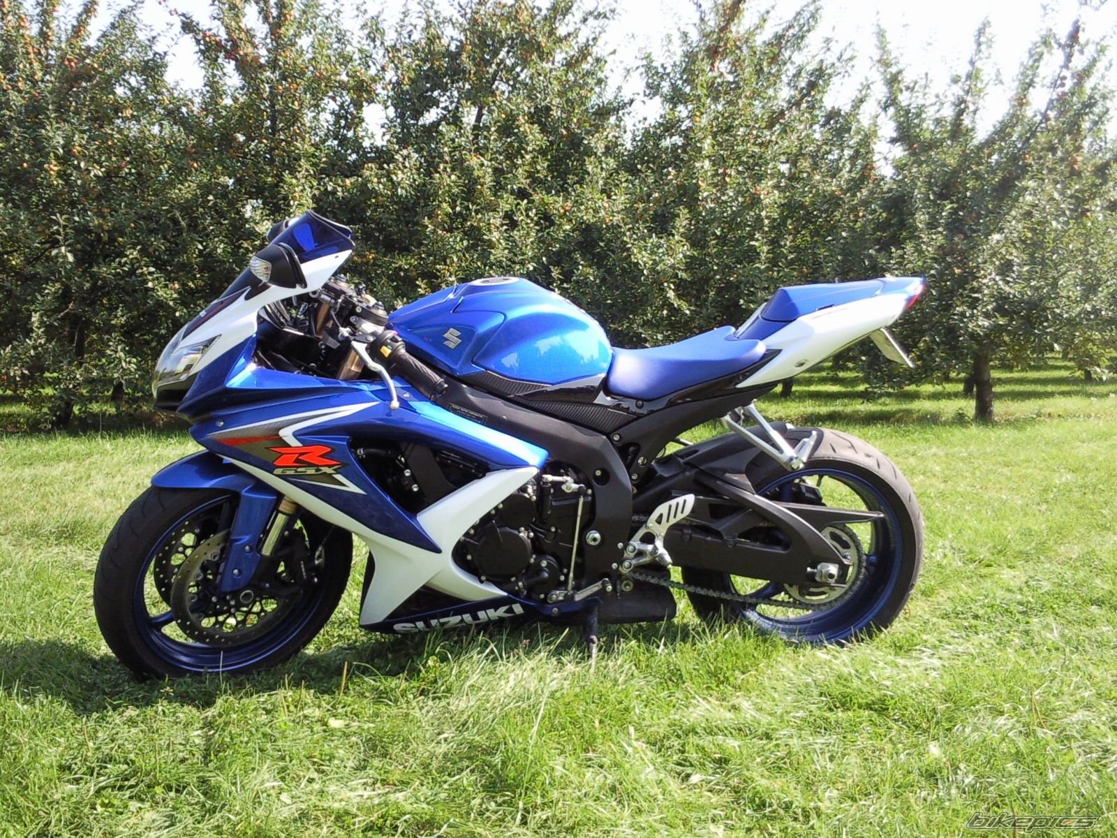 2008 SUZUKI GSX R 600 | Picture 1421394 motorcycle photo