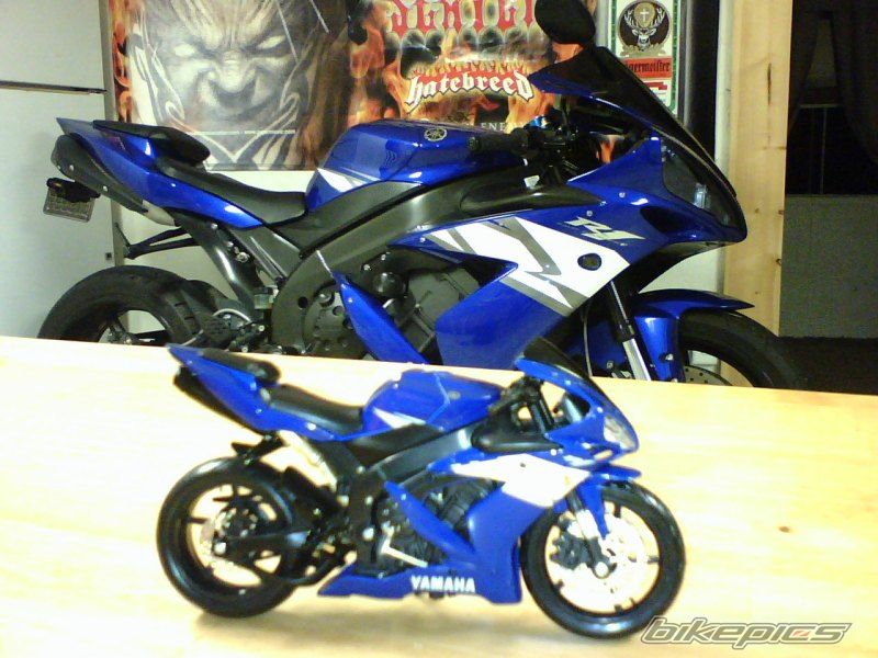 2004 YAMAHA YZF R1 | Picture 1422019 motorcycle photo