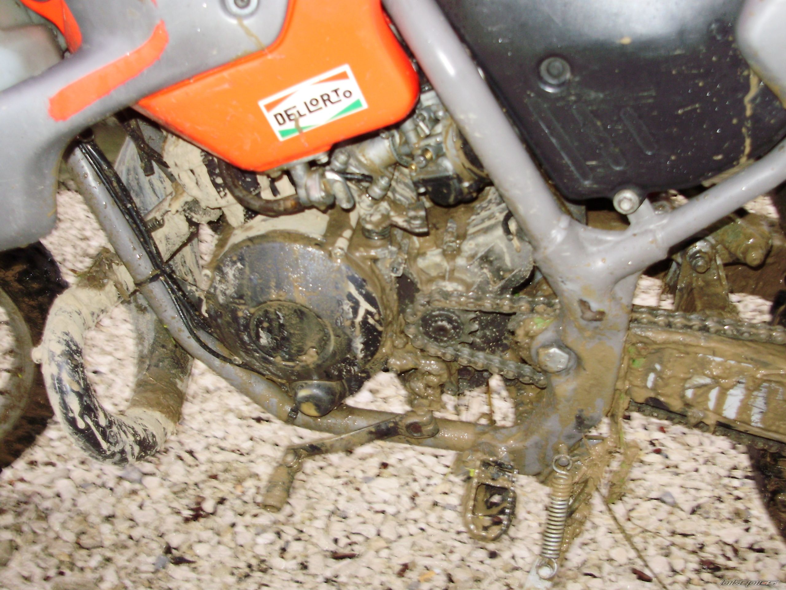 1999 APRILIA RX 50 | Picture 1422674 motorcycle photo