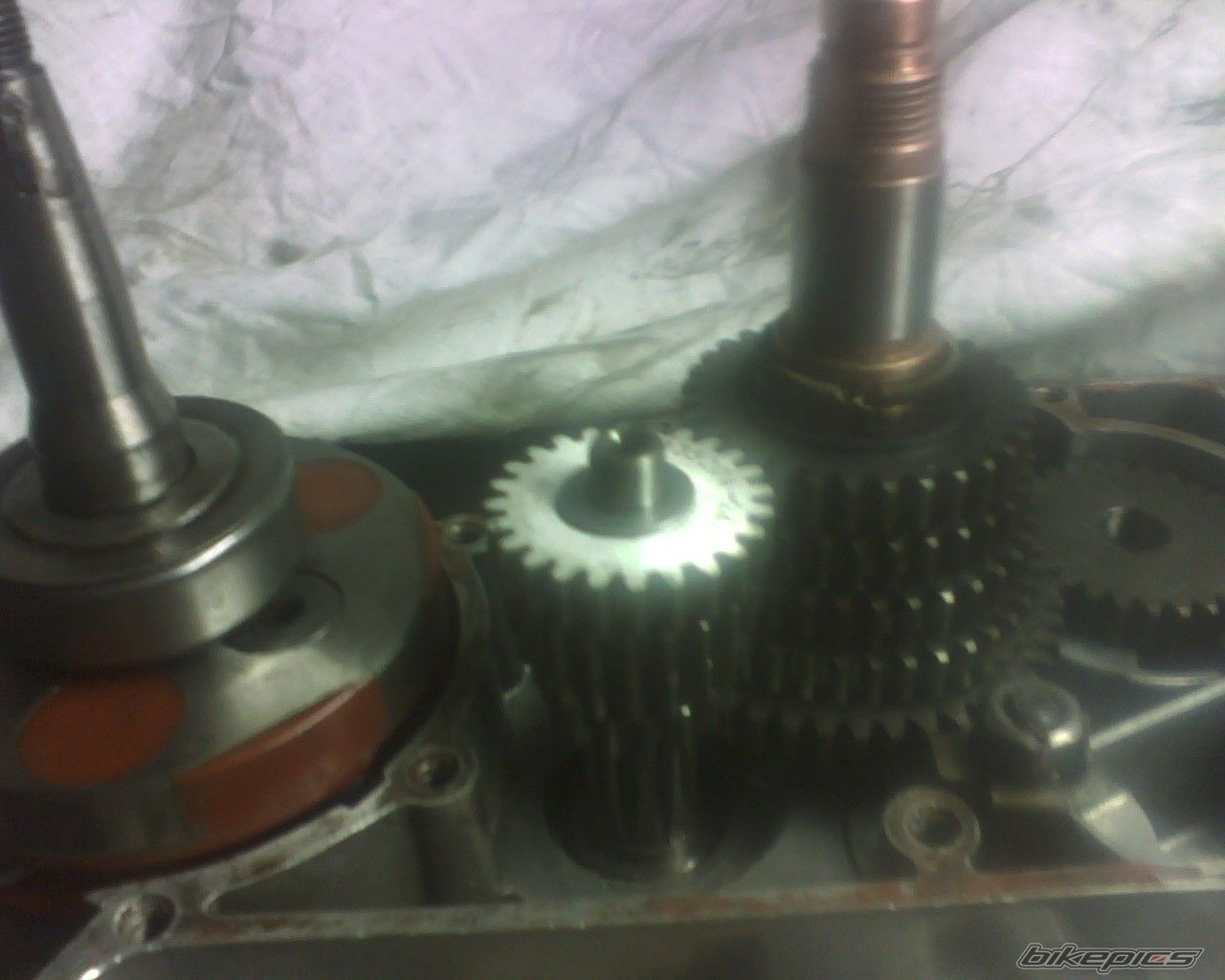    | Picture 1422770 motorcycle photo