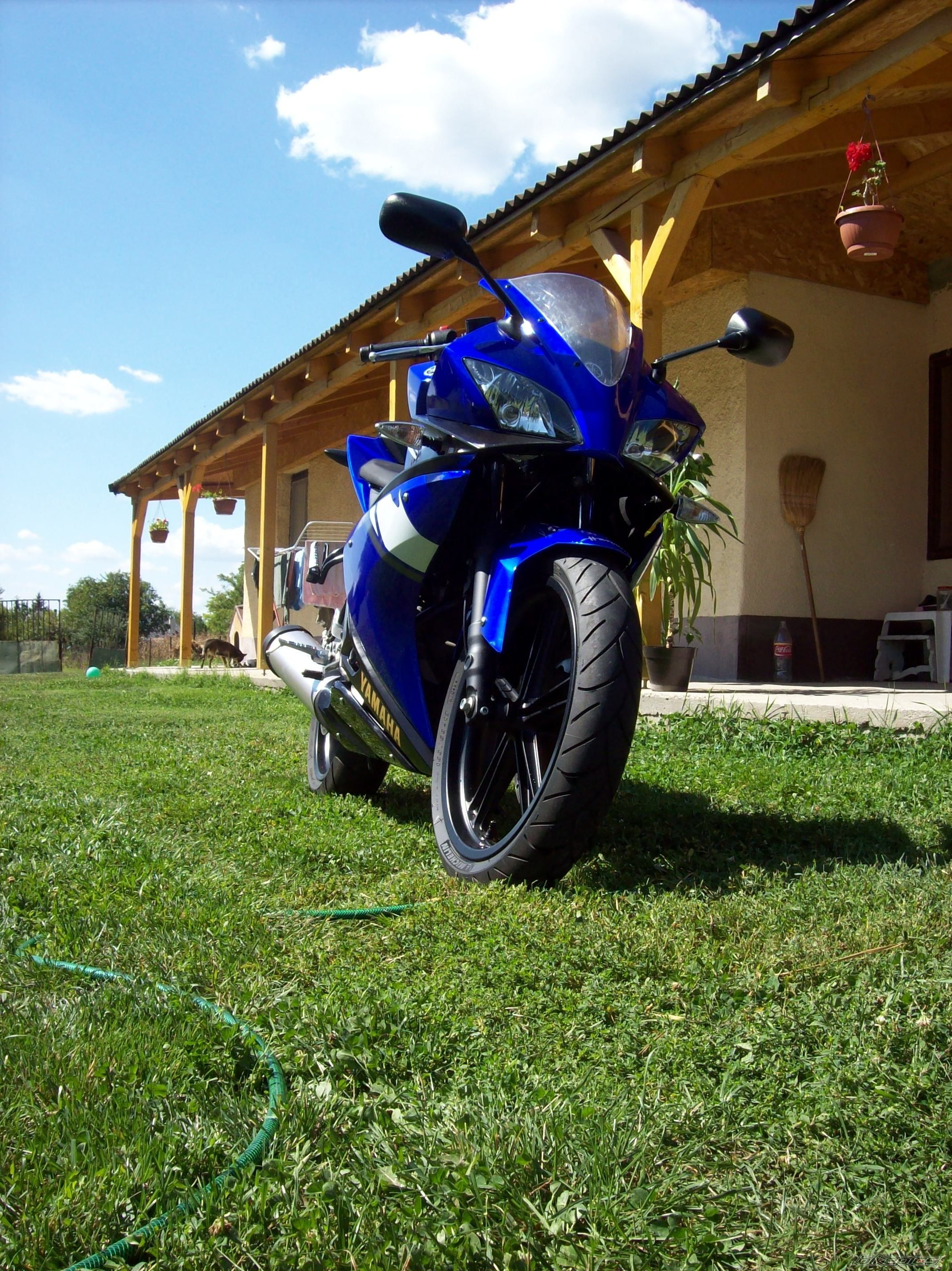 2008 YAMAHA YZF R125 | Picture 1423110 motorcycle photo