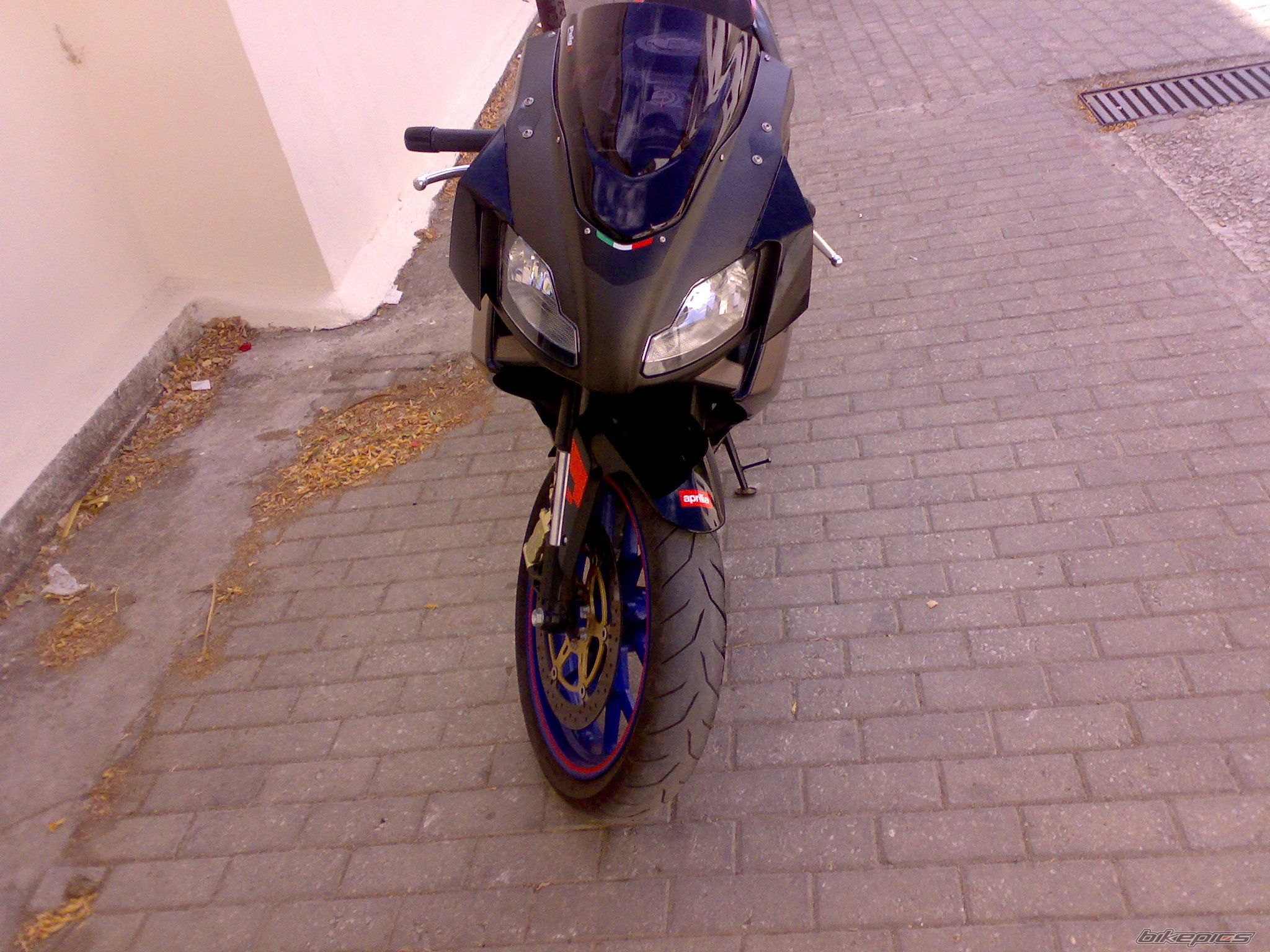 2008 APRILIA RS 125 | Picture 1423228 motorcycle photo