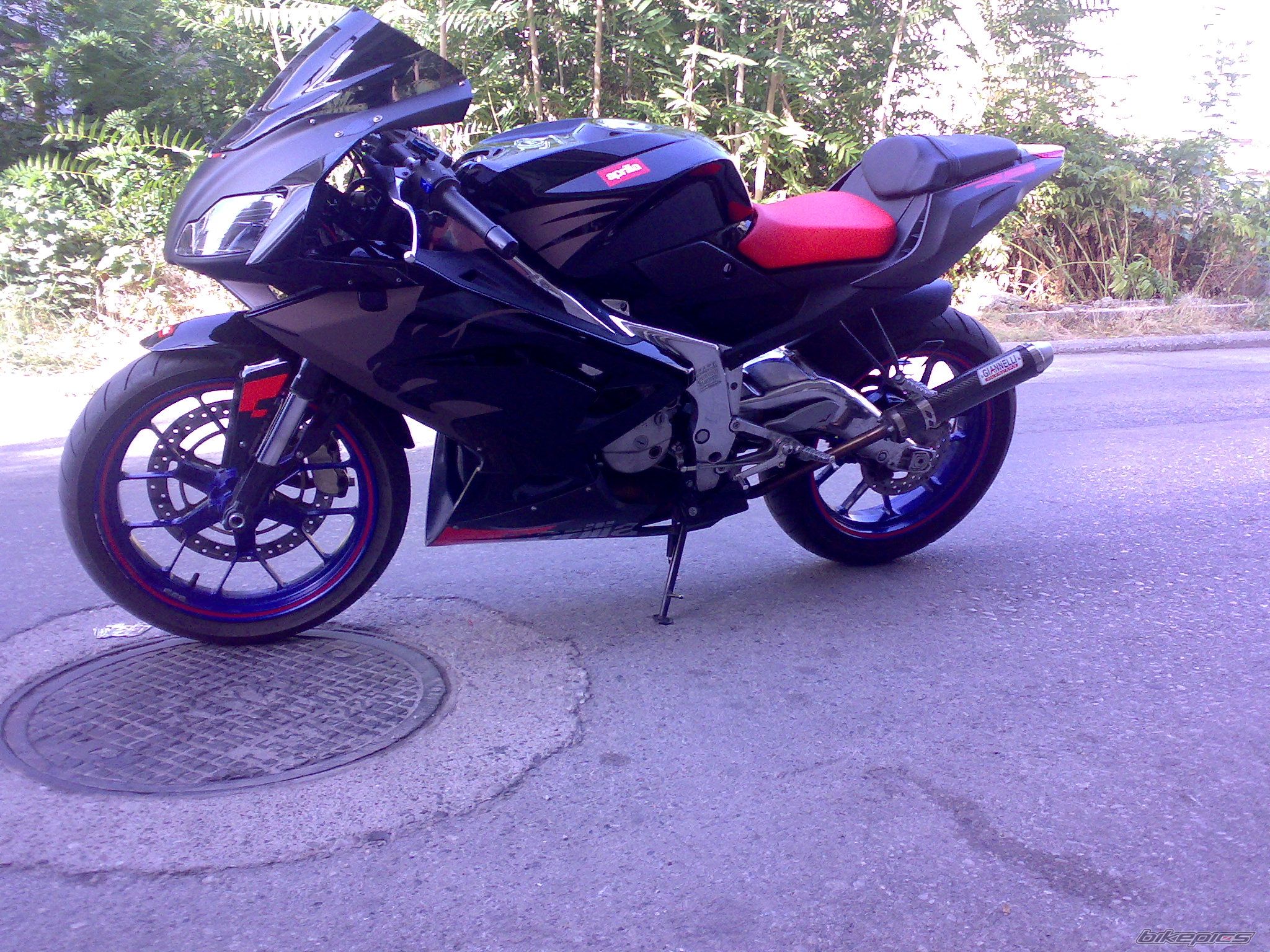 2008 APRILIA RS 125 | Picture 1423237 motorcycle photo