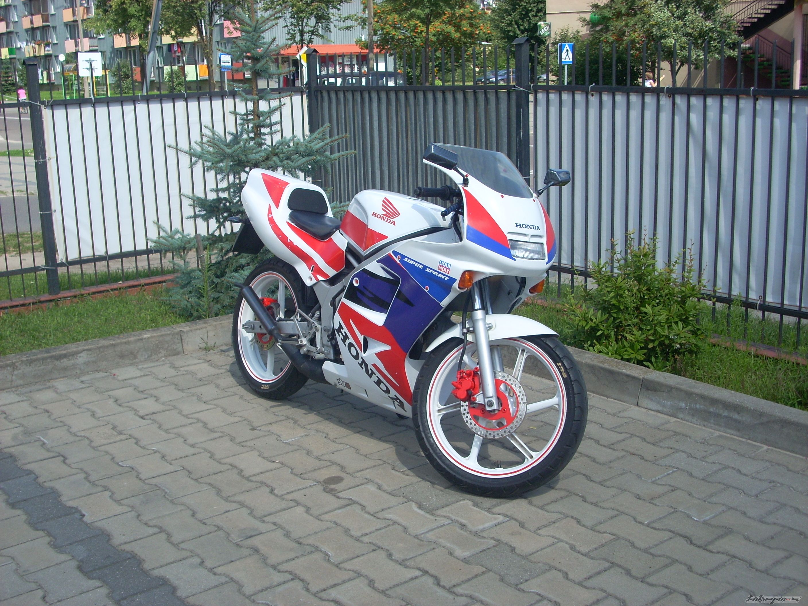 2000 HONDA NS 1 50 | Picture 1423795 motorcycle photo
