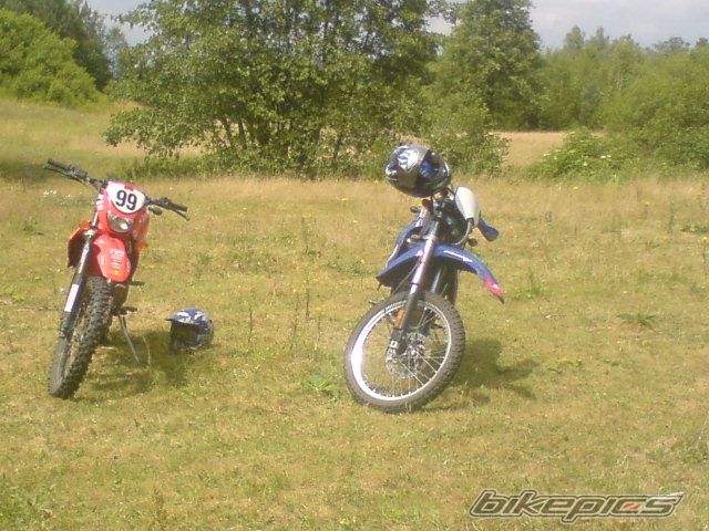 2000 DERBI SENDA R 50 | Picture 1423856 motorcycle photo