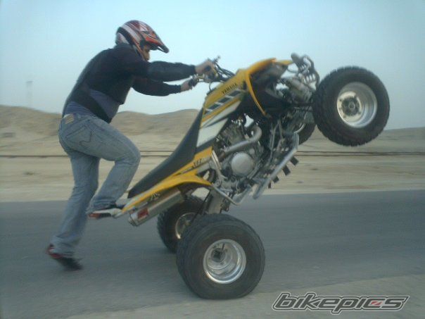 2008 YAMAHA RAPTOR YFZ 450 | Picture 1423983 motorcycle photo