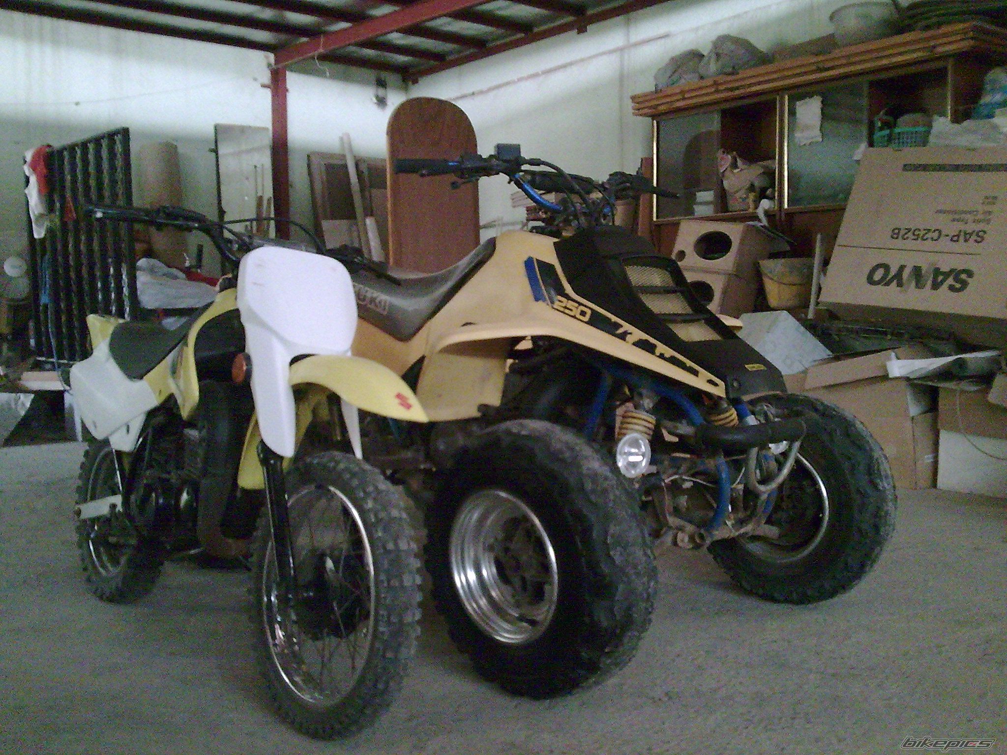 2008 SUZUKI JR 80 | Picture 1424158 motorcycle photo