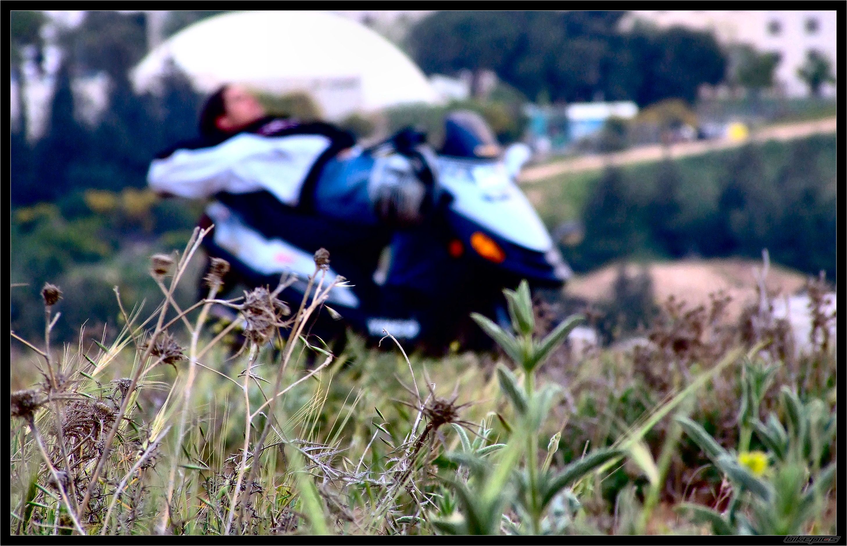 2006 KYMCO DINK 150 | Picture 1424943 motorcycle photo