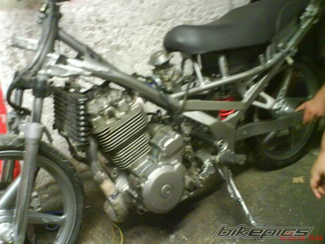 2008 SUZUKI FX 125 | Picture 1425069 motorcycle photo