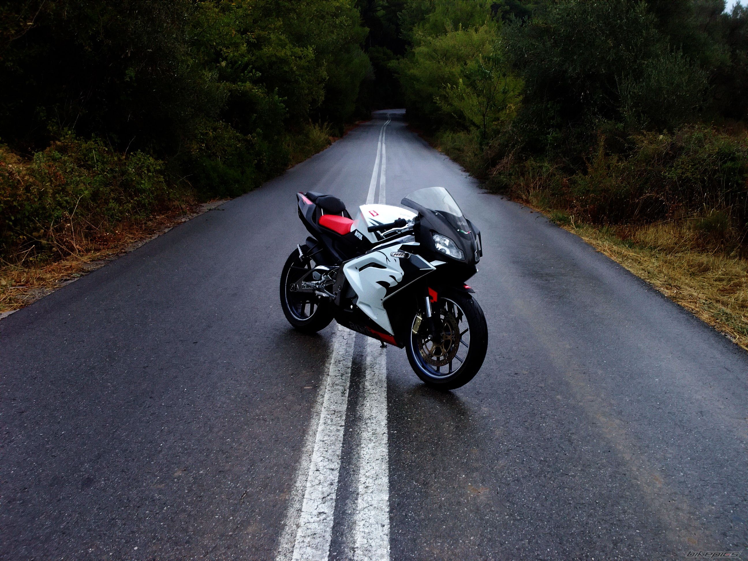 2008 APRILIA RS 125 | Picture 1425121 motorcycle photo