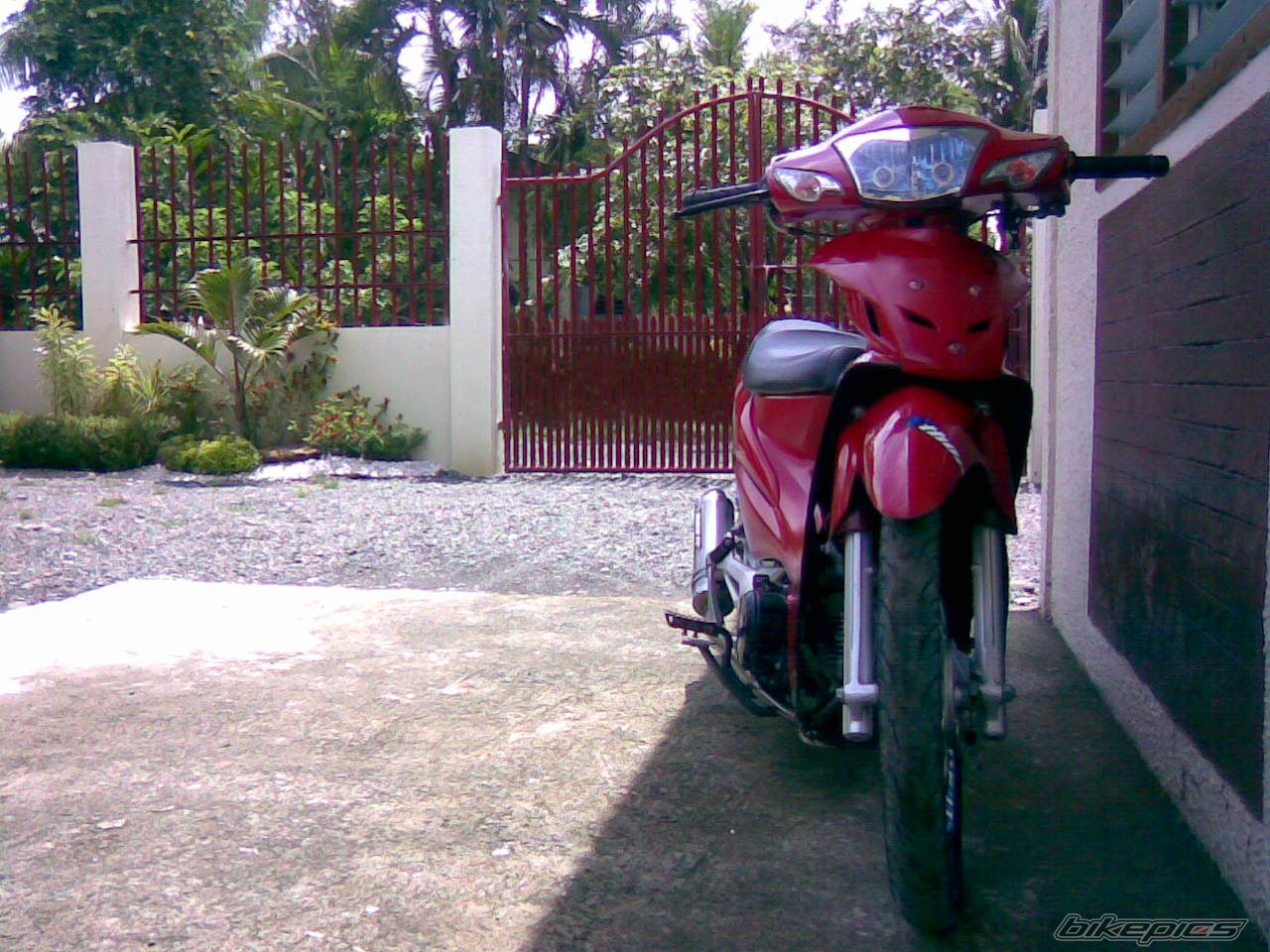 2007 HONDA WAVE 100 | Picture 1425215 motorcycle photo