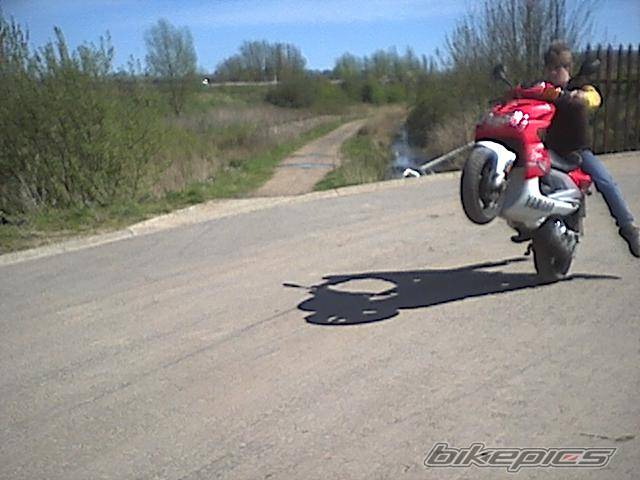 2003 YAMAHA AEROX 50 | Picture 142523 motorcycle photo