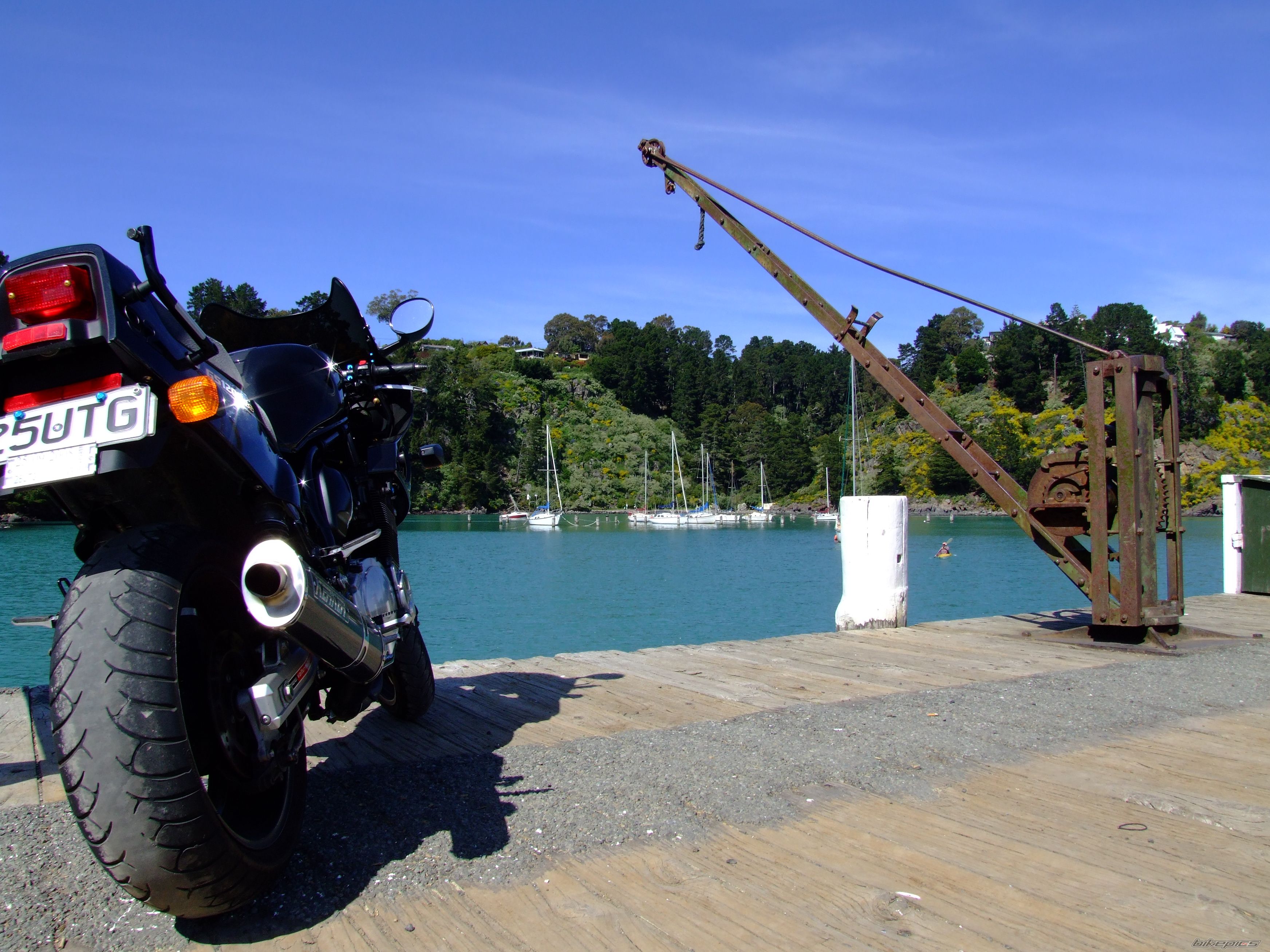 2002 SUZUKI BANDIT 1200 | Picture 1425463 motorcycle photo