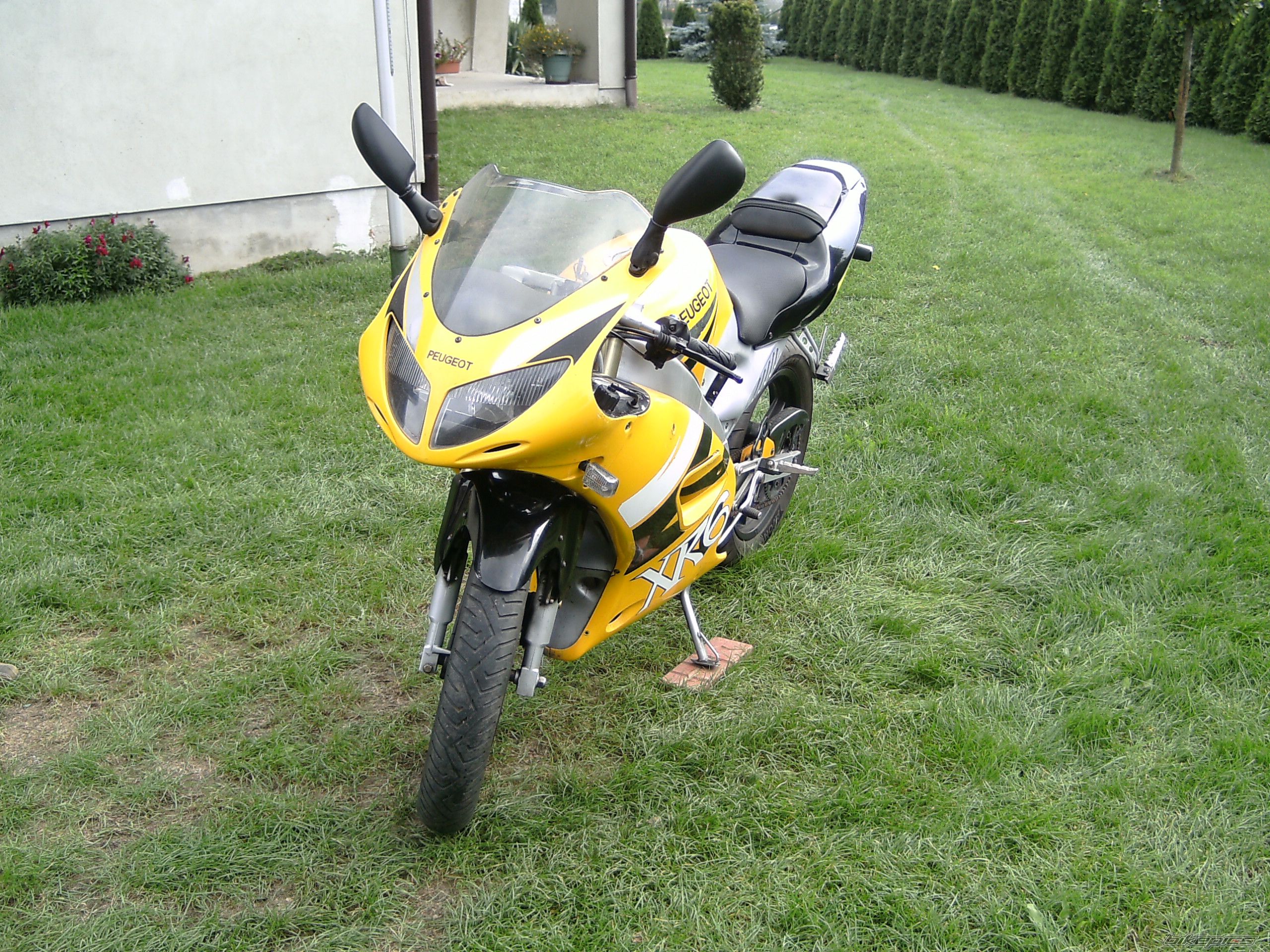 2002 PEUGEOT XR6 | Picture 1425730 motorcycle photo