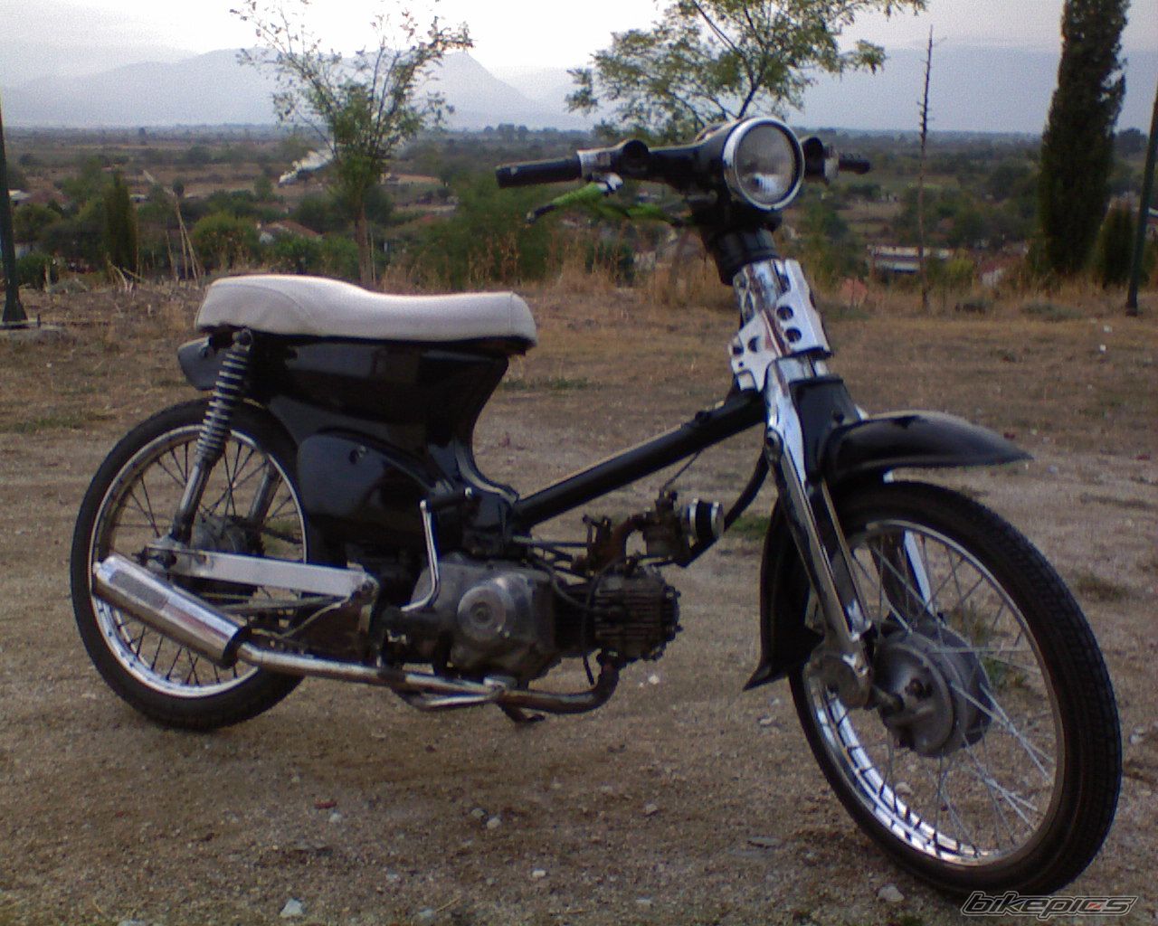 2008 HONDA GLX 50 | Picture 1425770 motorcycle photo