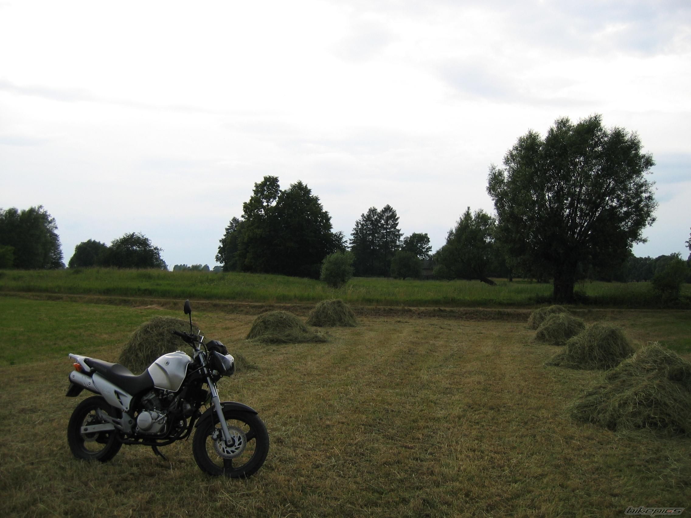 2002 HONDA XLV 125 VARADERO | Picture 1425976 motorcycle photo