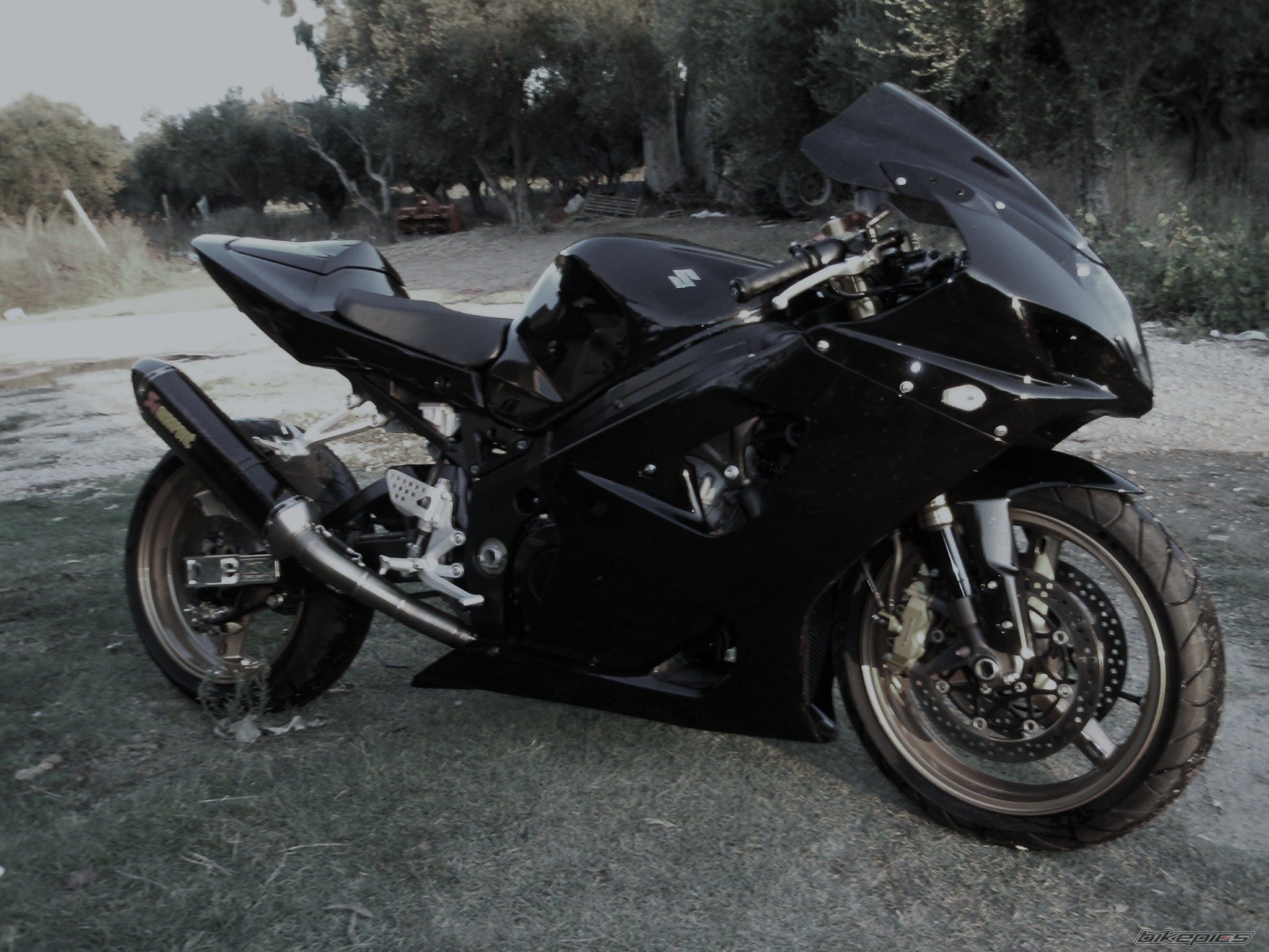 2004 SUZUKI GSX R 1000 | Picture 1426372 motorcycle photo