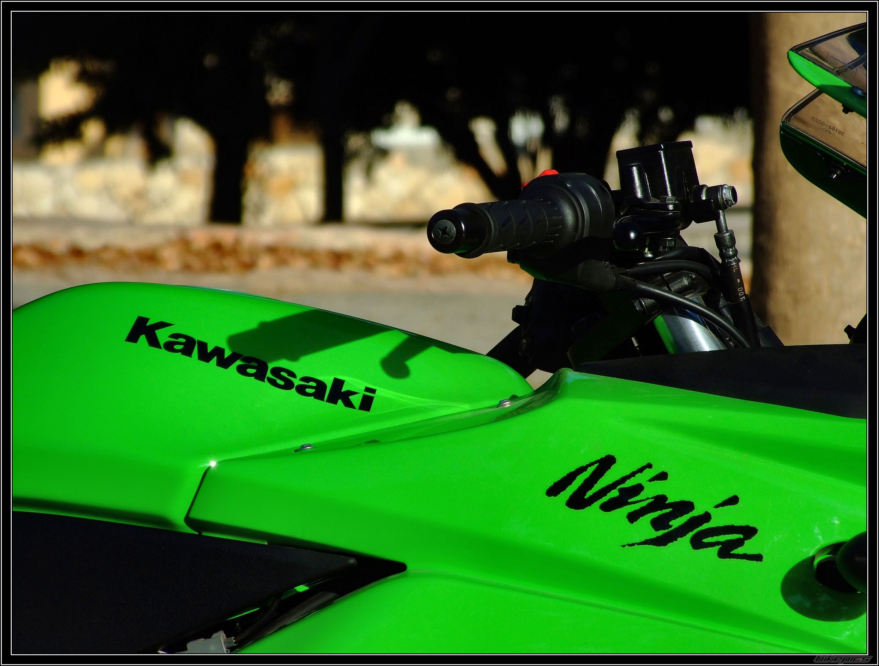 2008 KAWASAKI ZXR250 | Picture 1426384 motorcycle photo