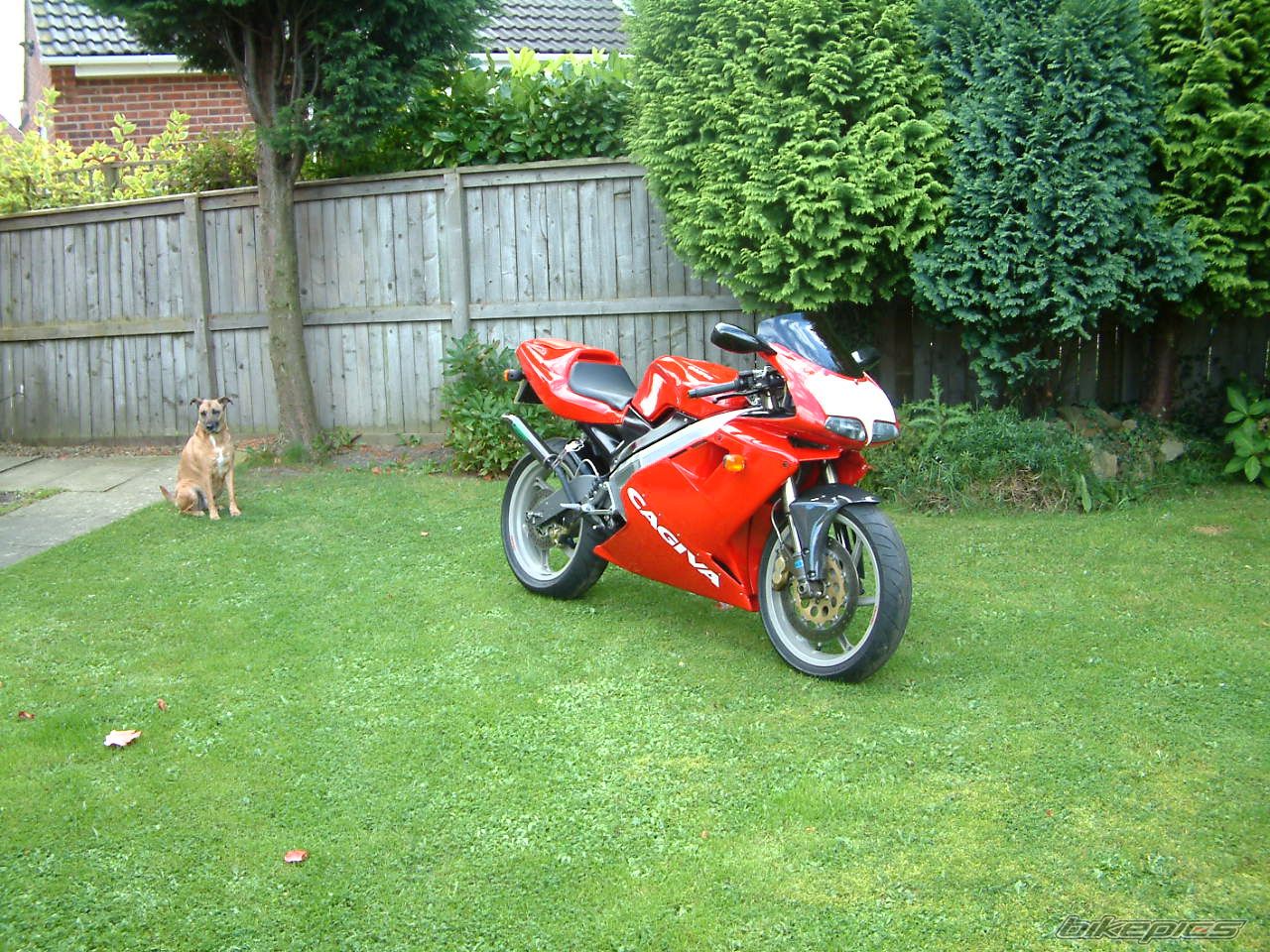 2006 CAGIVA MITO 125 | Picture 1427018 motorcycle photo