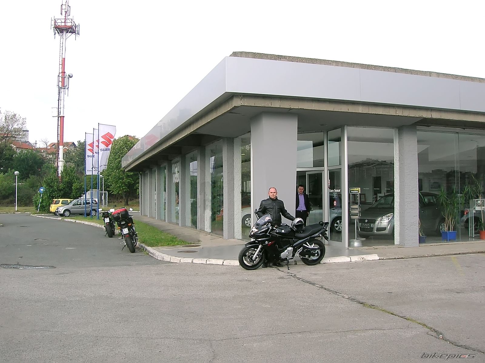 2008 SUZUKI BANDIT 650 | Picture 1427200 motorcycle photo