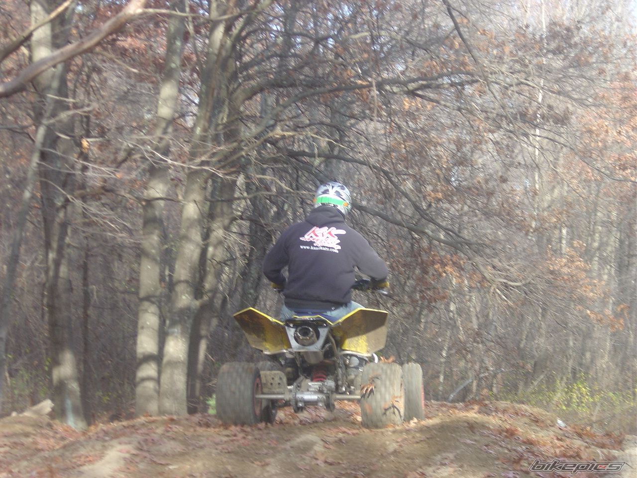    | Picture 1427560 motorcycle photo