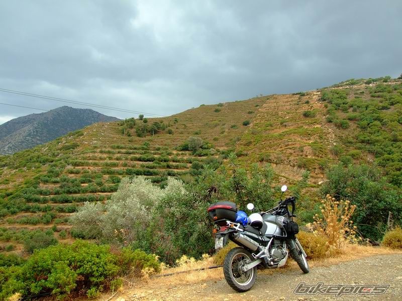 2000 KAWASAKI KLE 500 | Picture 1428284 motorcycle photo