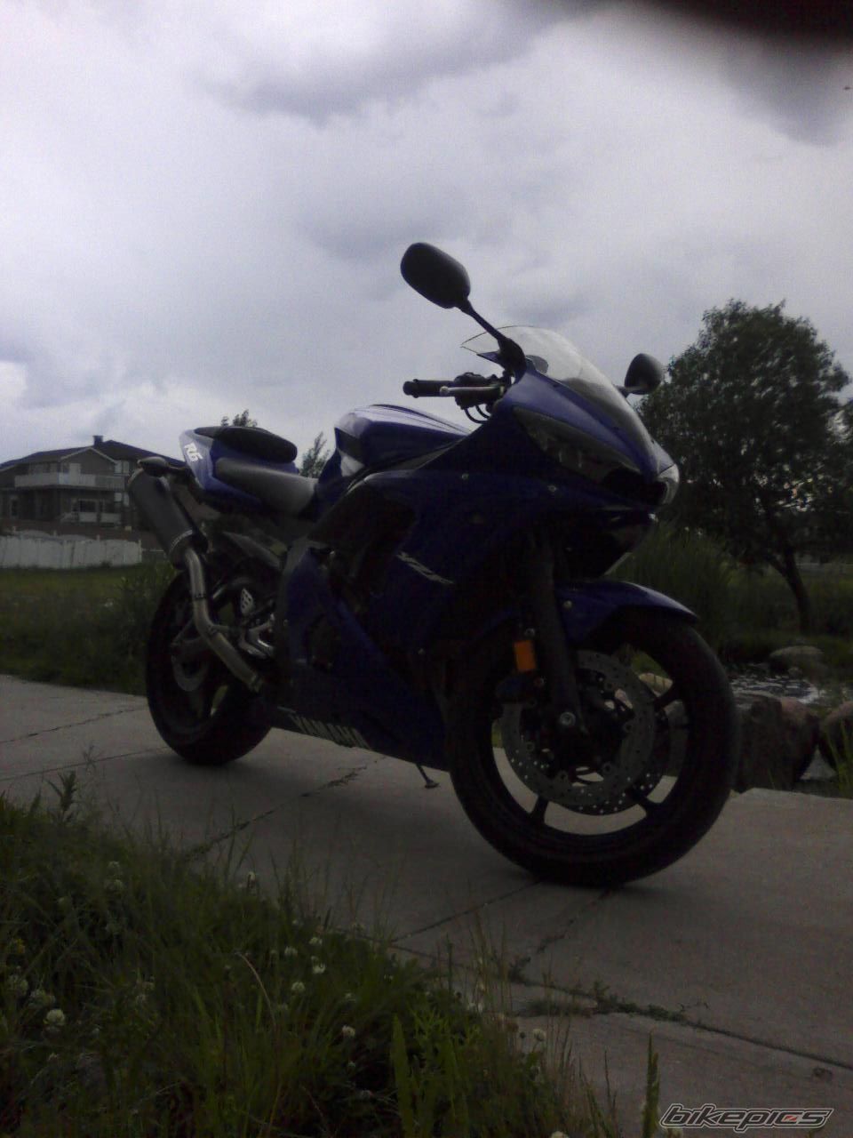 2003 YAMAHA YZF R6 | Picture 1428644 motorcycle photo
