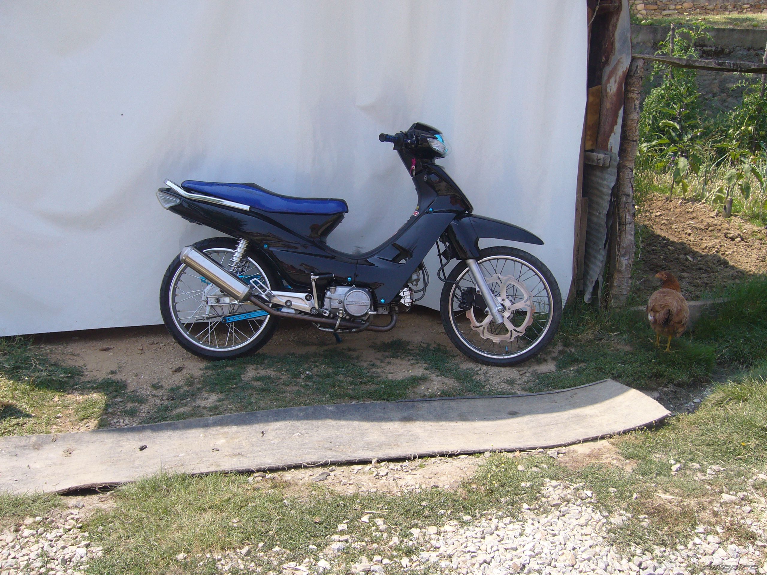2008 HONDA SUPRA 110 | Picture 1429065 motorcycle photo