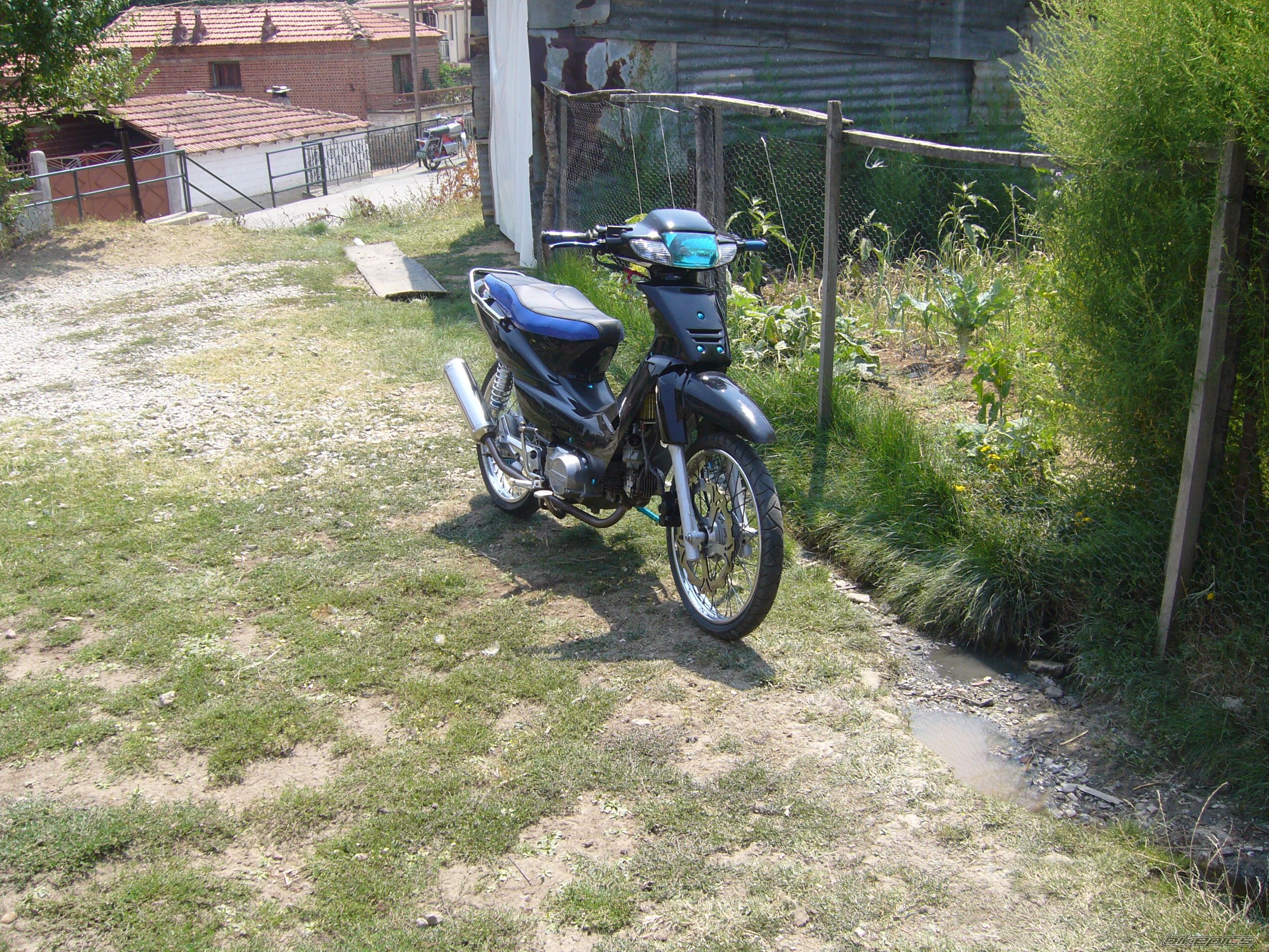 2008 HONDA SUPRA 110 | Picture 1429084 motorcycle photo