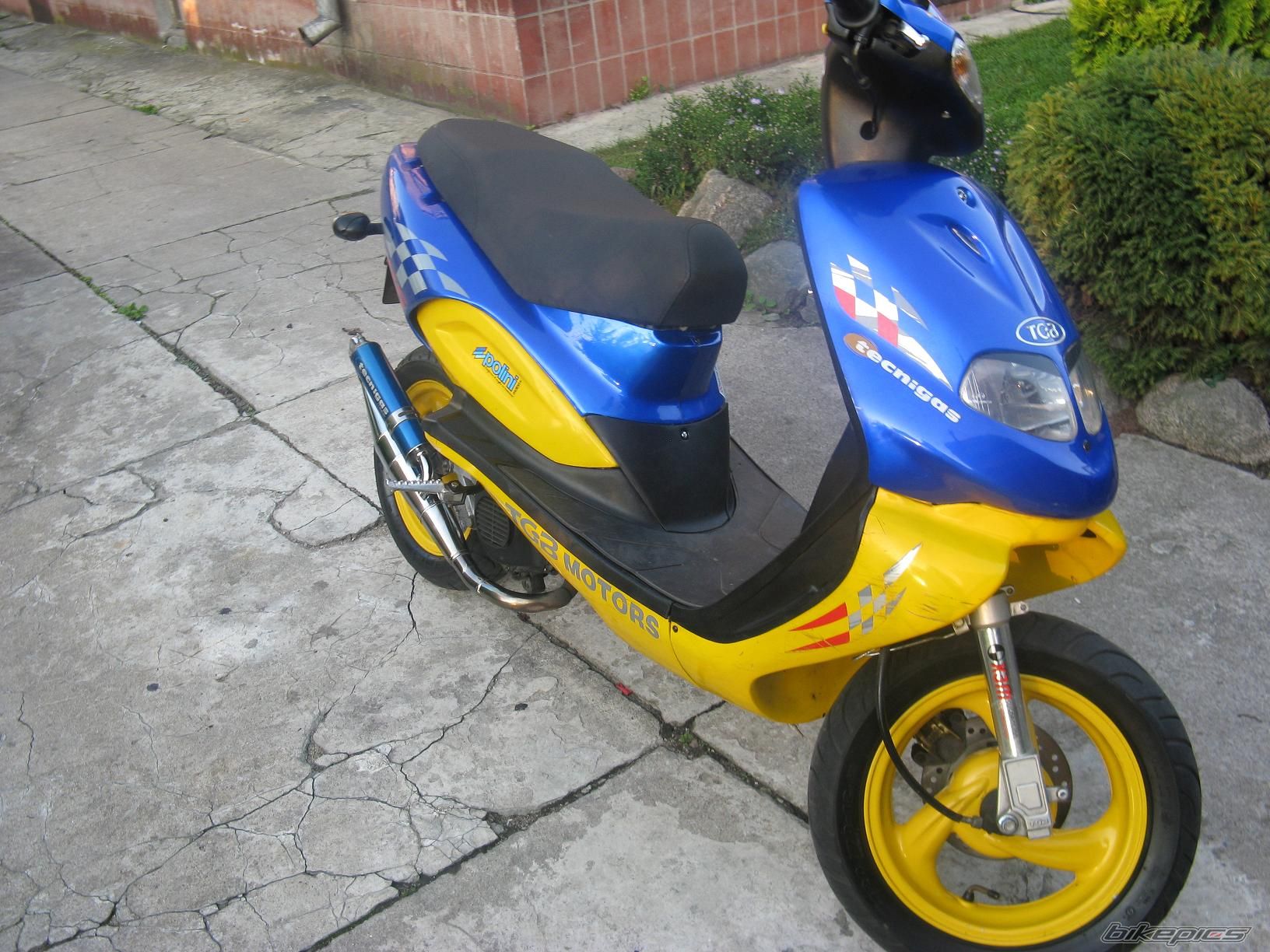 2003 TGB 303 RS | Picture 1429215 motorcycle photo