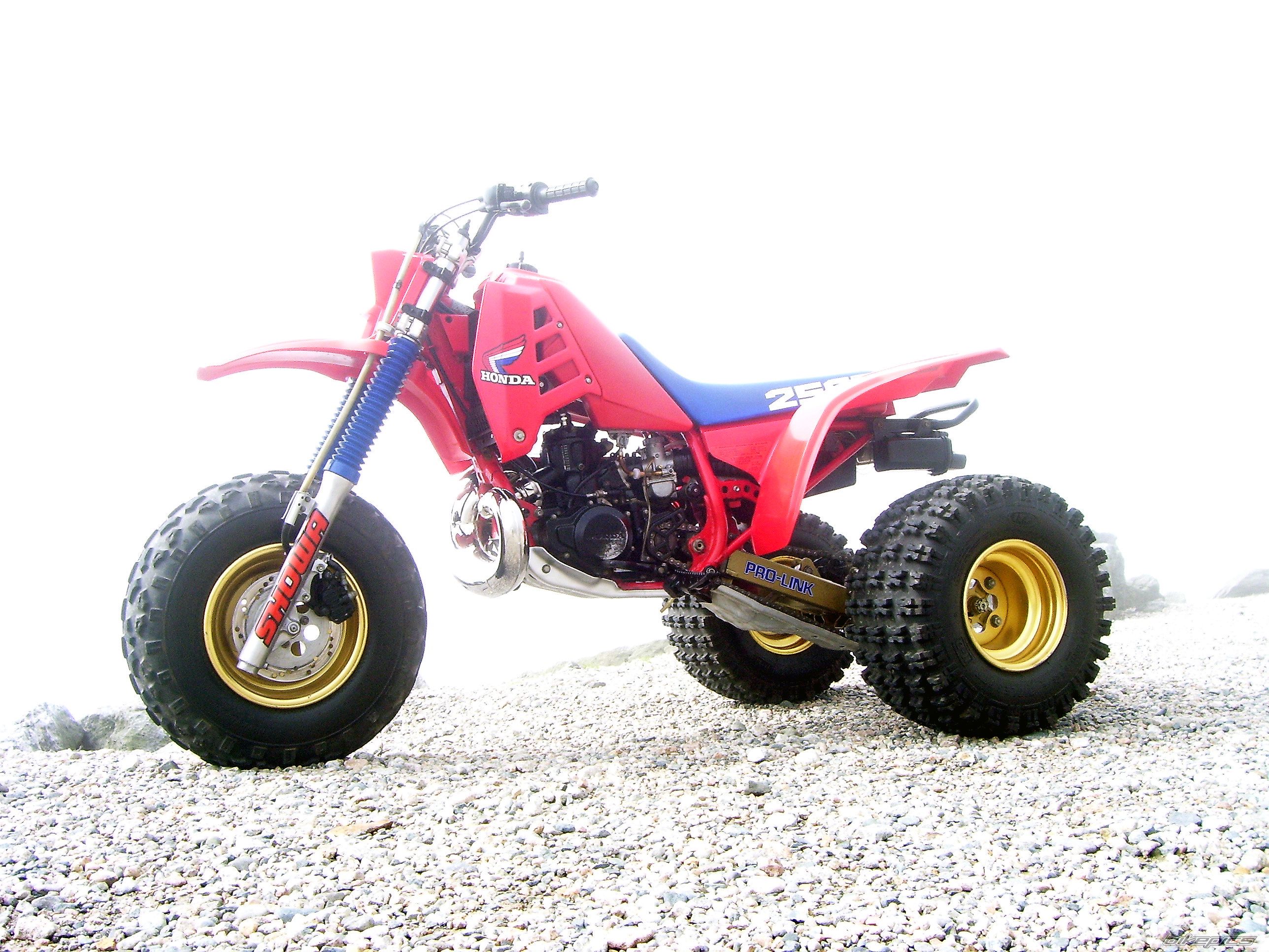 1985 HONDA ATC 250 | Picture 1429441 motorcycle photo