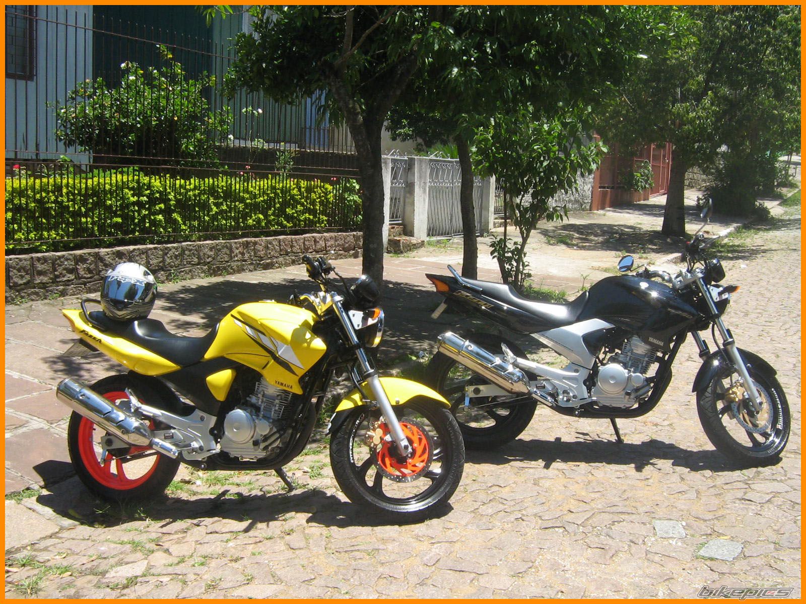 2007 YAMAHA YS 250 FAZER | Picture 1430211 motorcycle photo